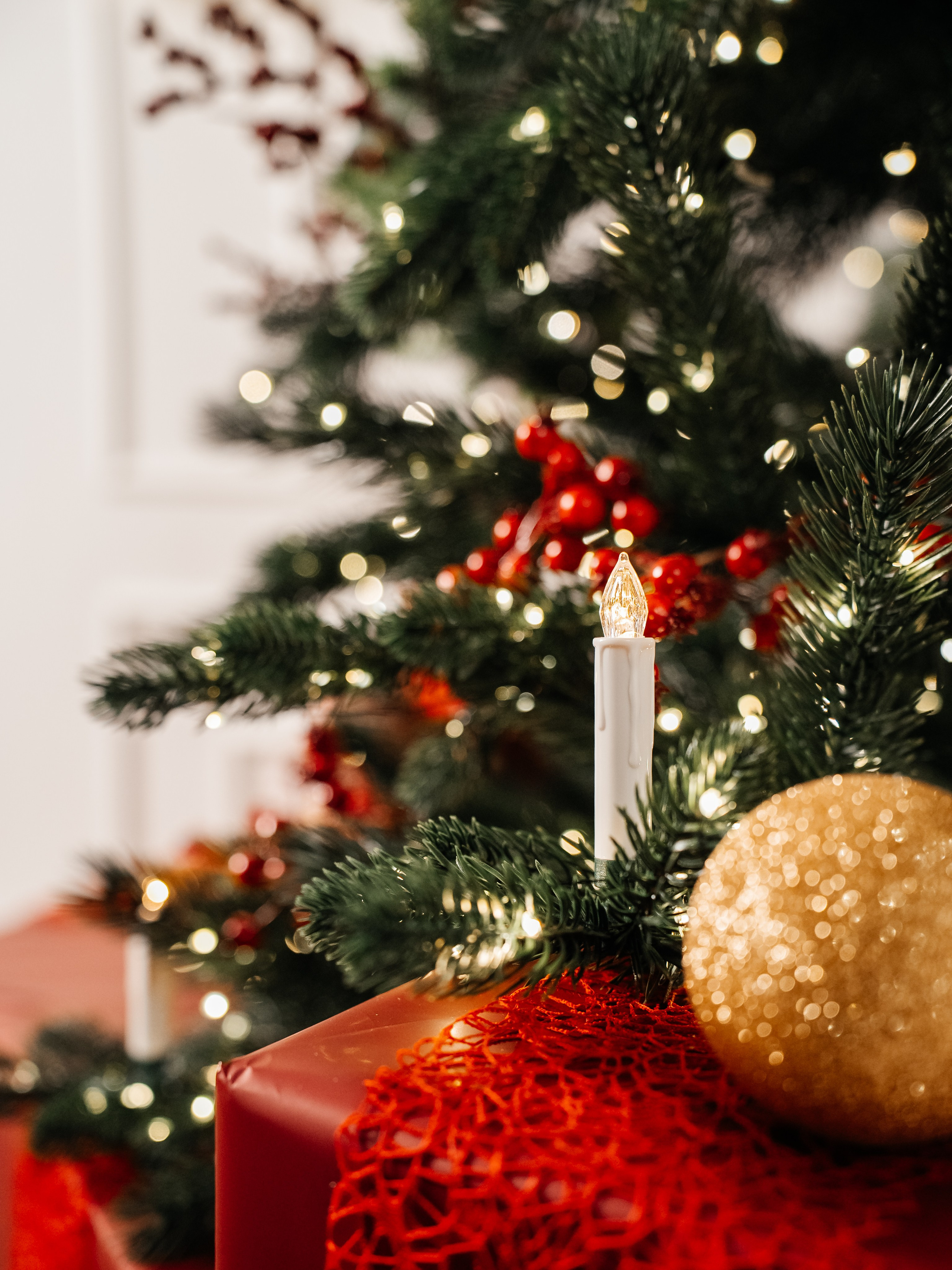 Новый год. Фотограф Сочи Адлер. Солькаева Анастасия