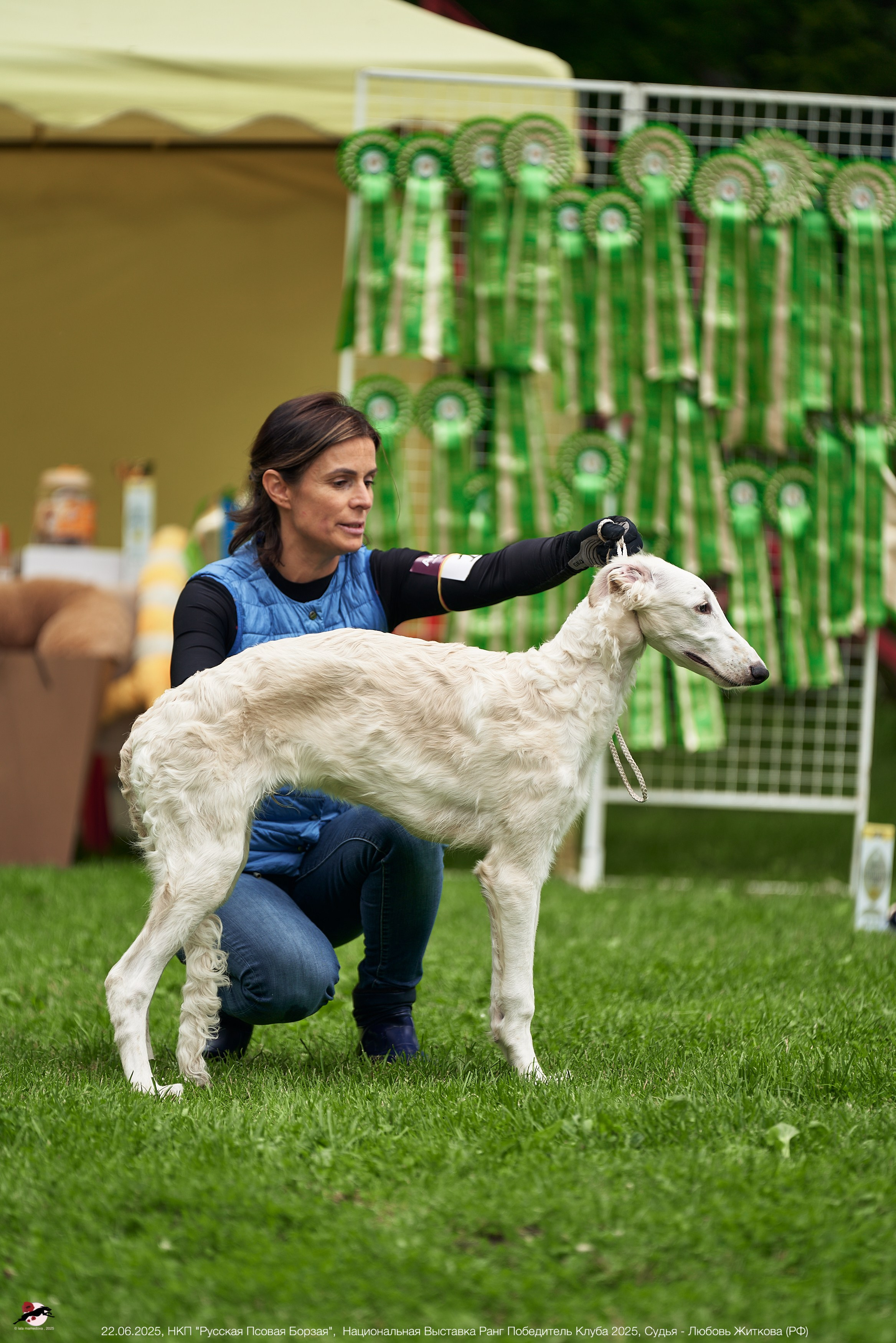 22.06.2025 | Национальная Выставка НКП "Русская Псовая Борзая"