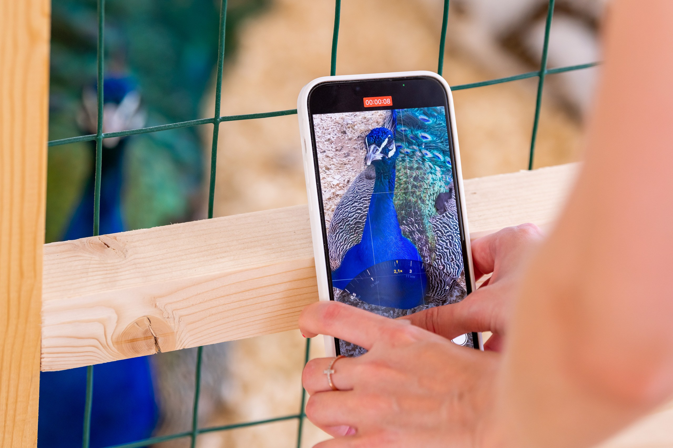 Всероссийский День Поля — 2023. Казань. Foto-Zuev фотография как искусство