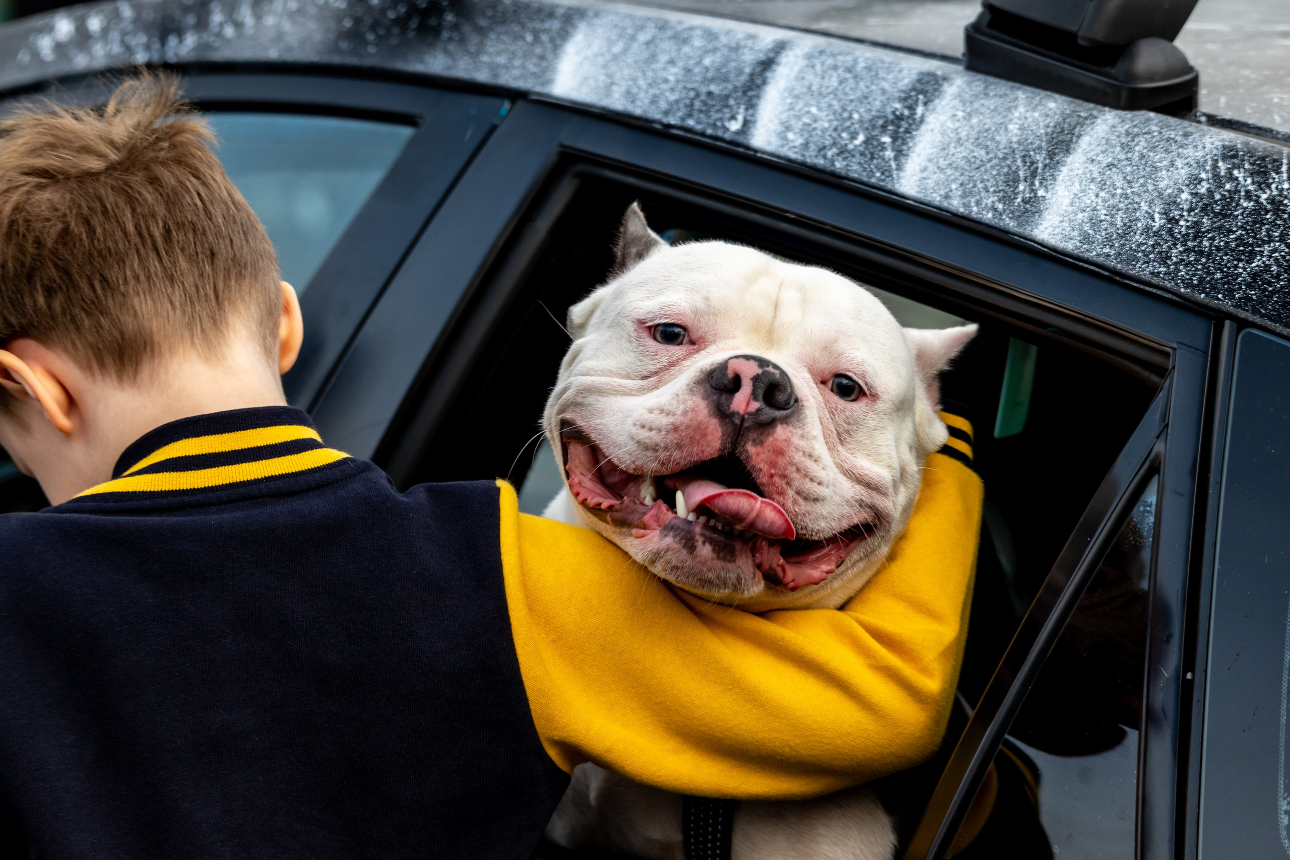 Репортажная, студийная, свадебная, автоспорт, коммерческая, фотосессия: Фотографы Николай и Елена DvoTar