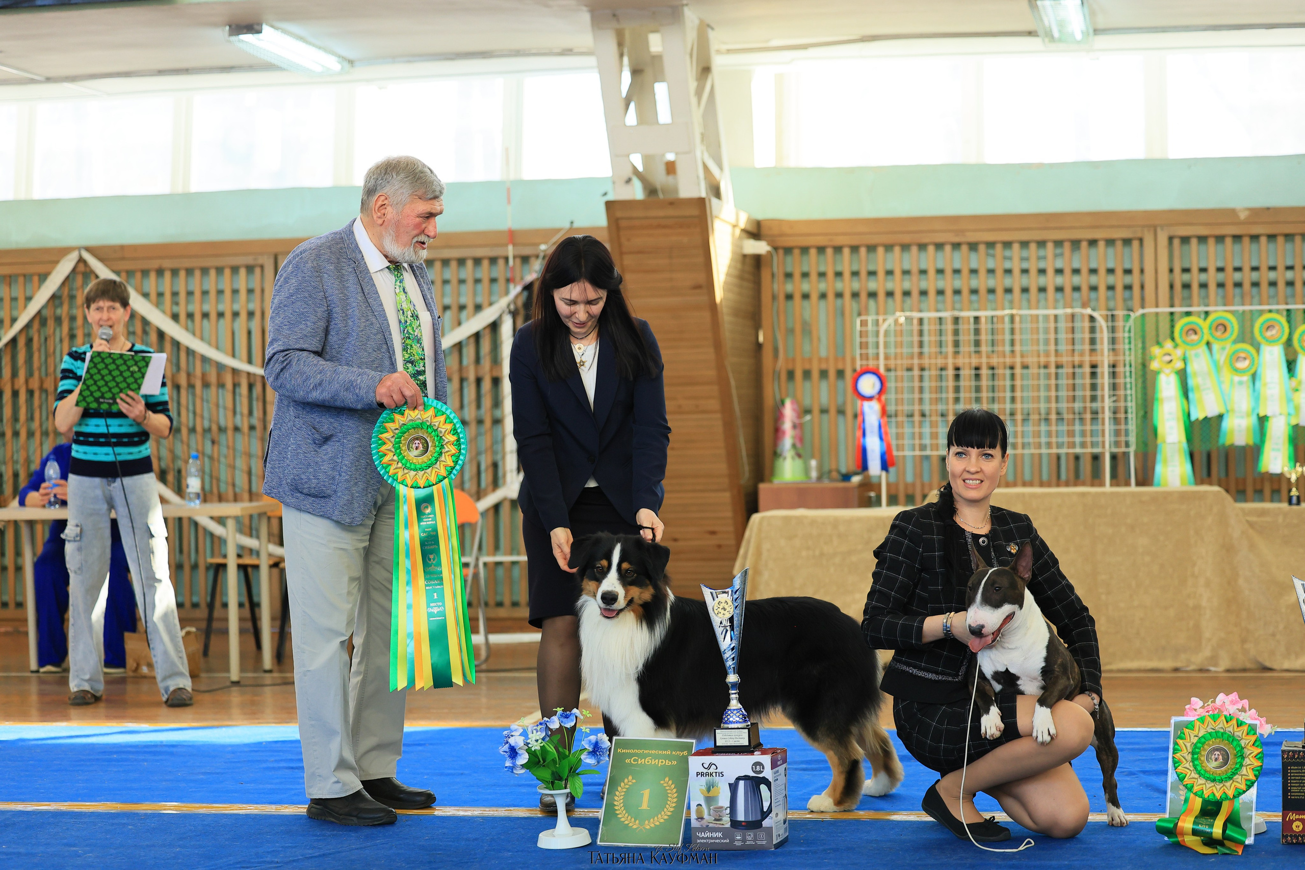 15.03.26 2х выставки собак в Новосибирске. Фотограф Анималист из Новосибирска Татьяна Кауфман