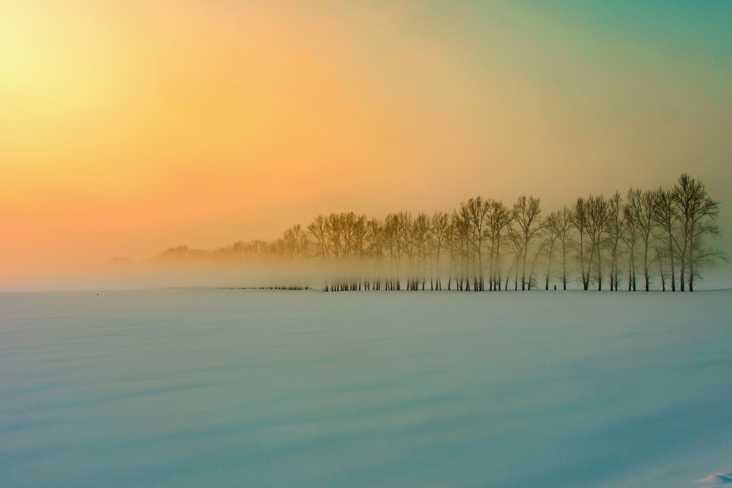 Творчество. Репортажный фотограф в Москве Измалков Артем