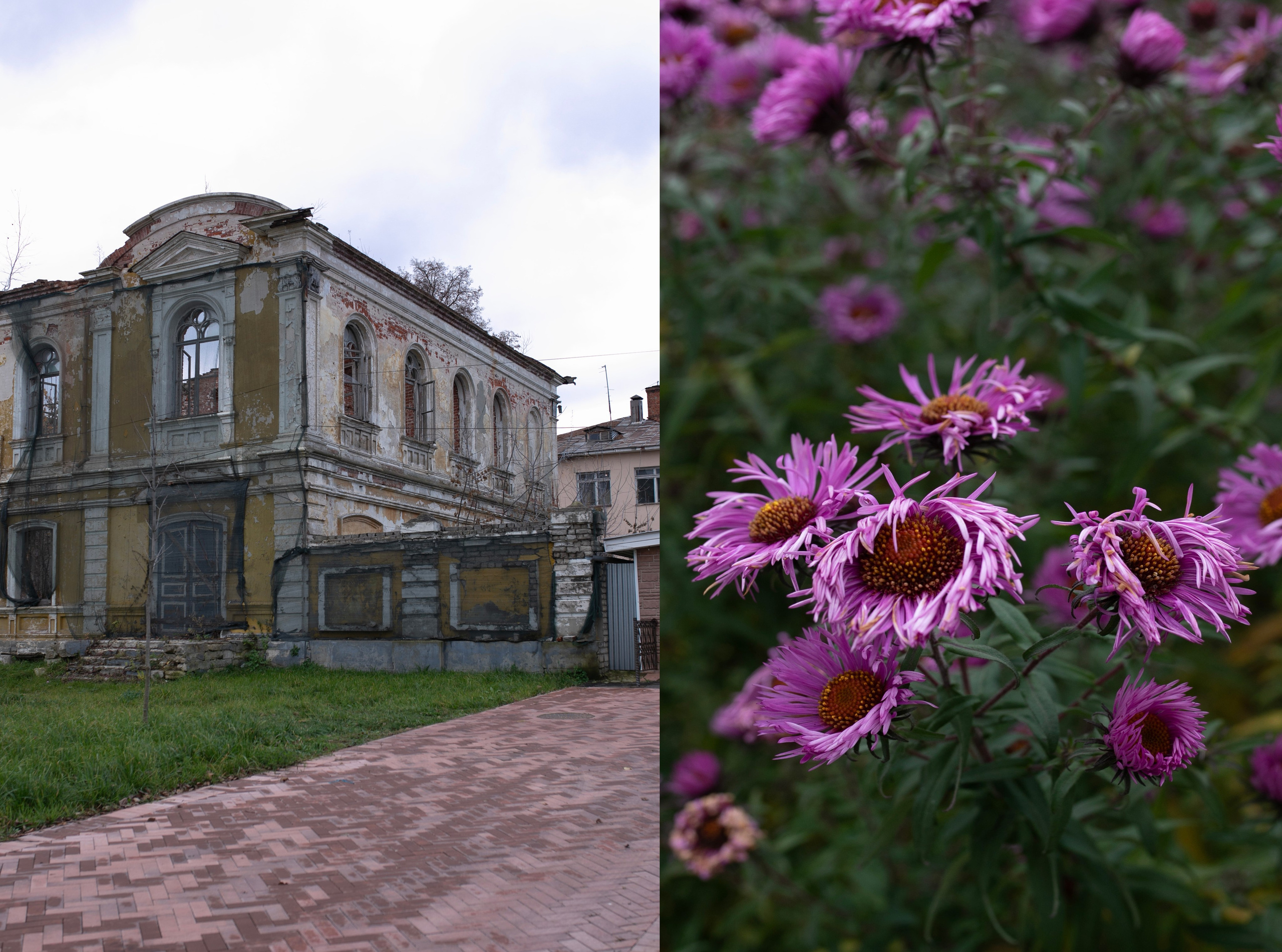 Муром — Гороховец'25. Фотограф-портретист в Москве