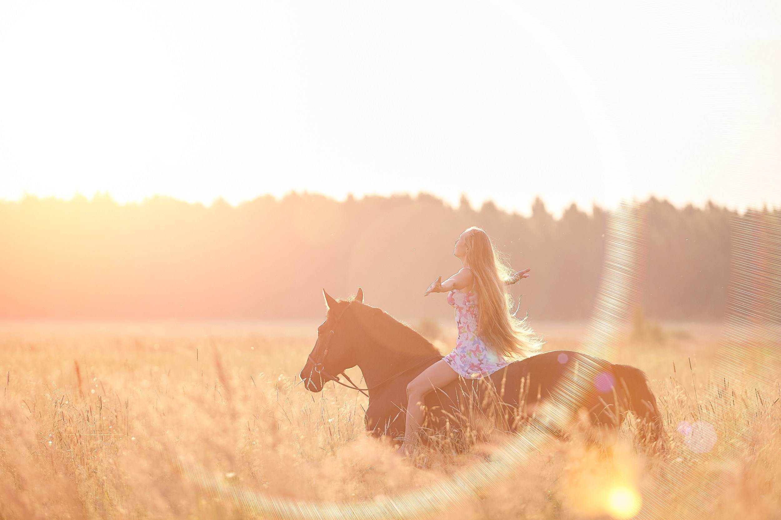 Фотосессия с лошадьми Фотограф Михаил Семенов, г. Ярославль