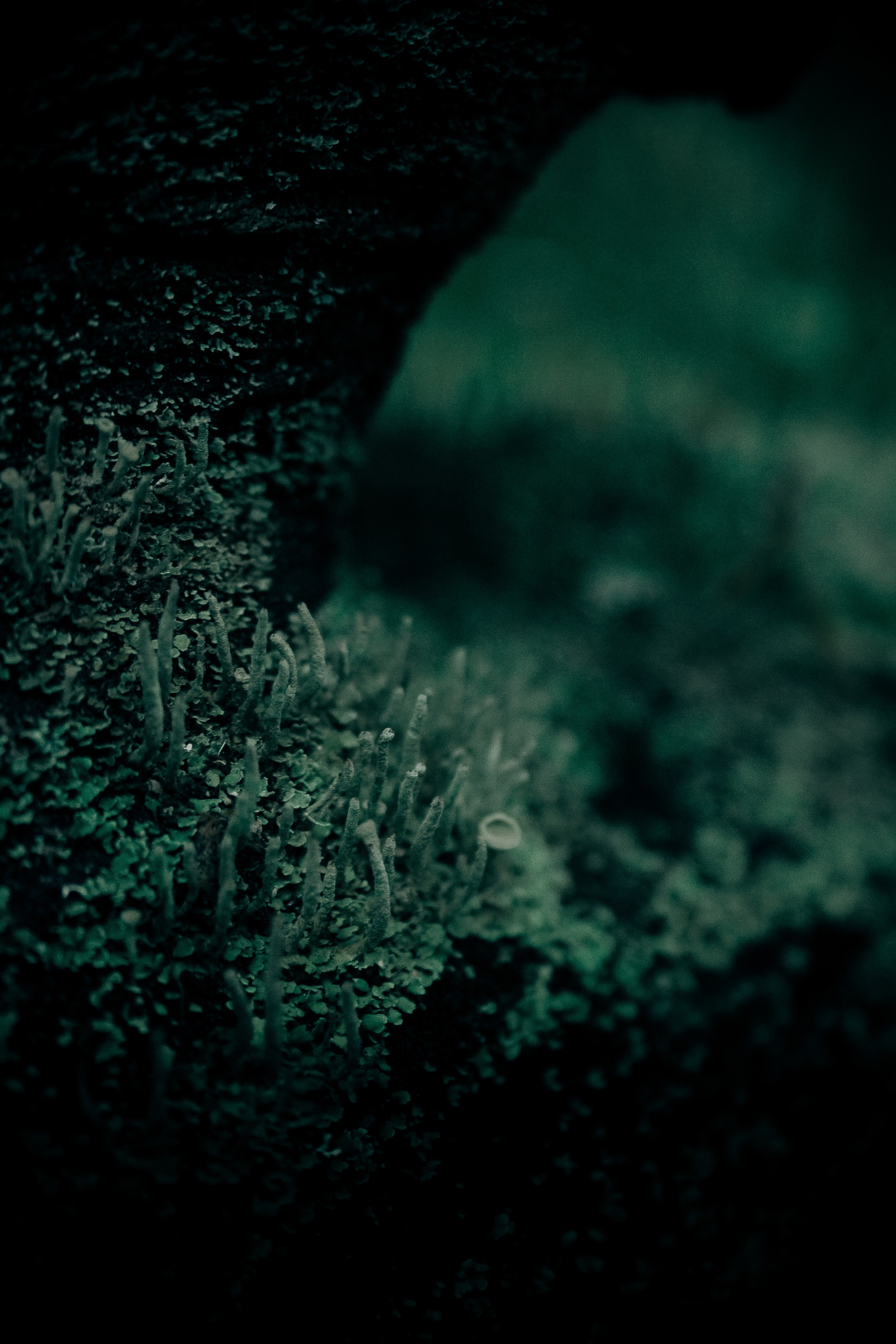 Фотография. Фотограф и видеограф DOSERZH (Добрин Сергей) в городе Москва и МО