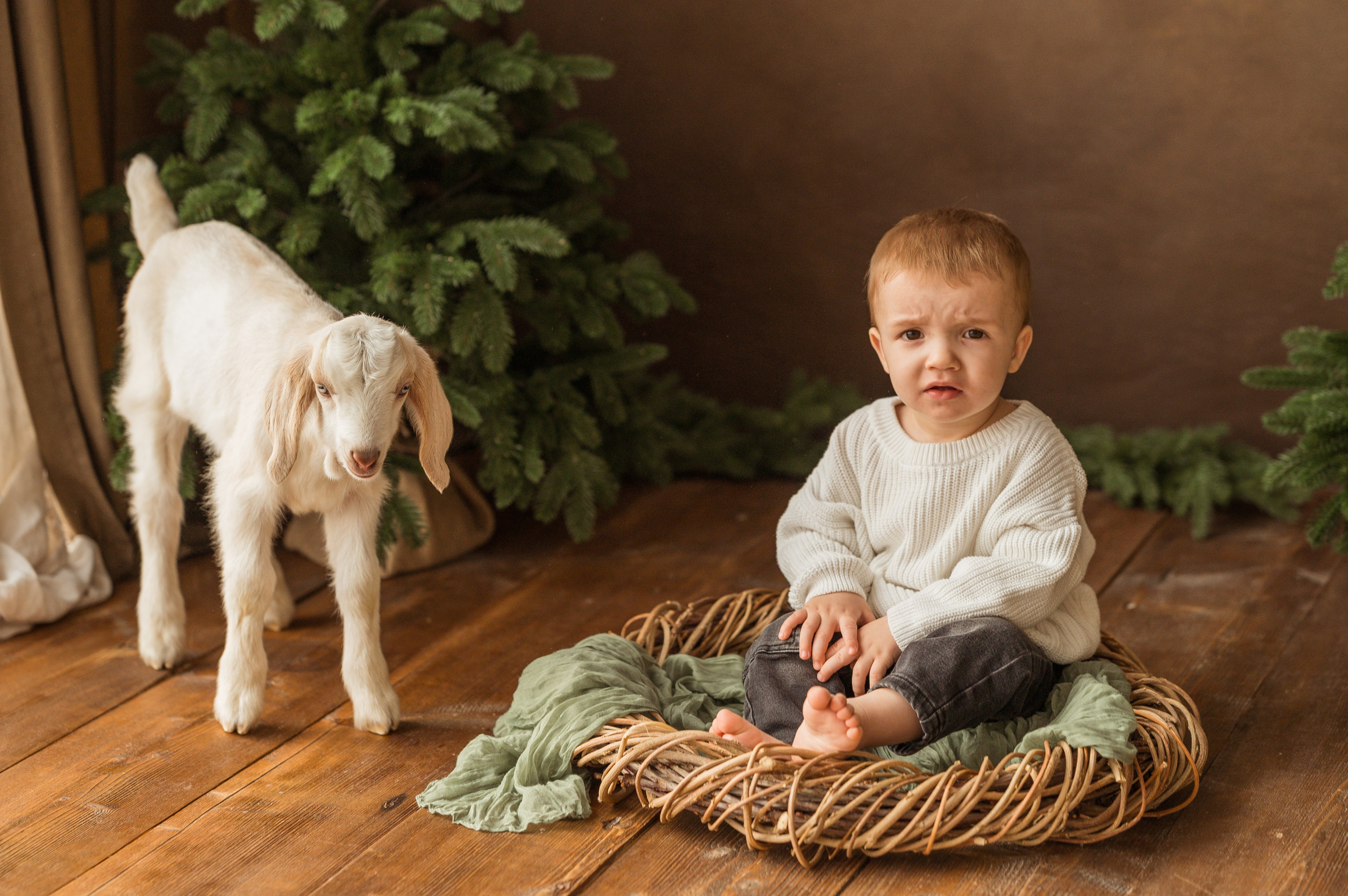 Данечка, Артем и козлик. Детский и семейный фотограф Ирина Гладких