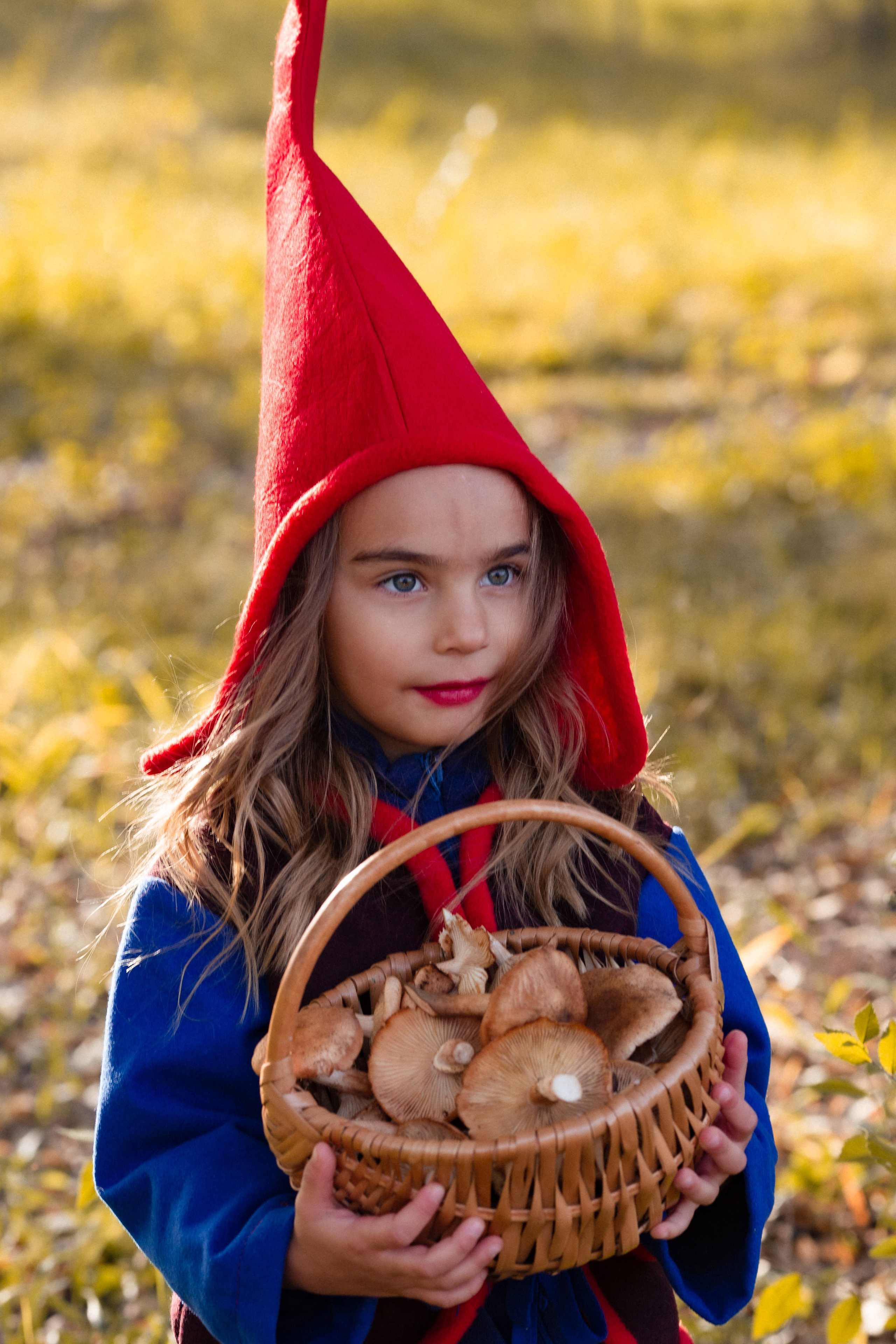 Лесные гномы