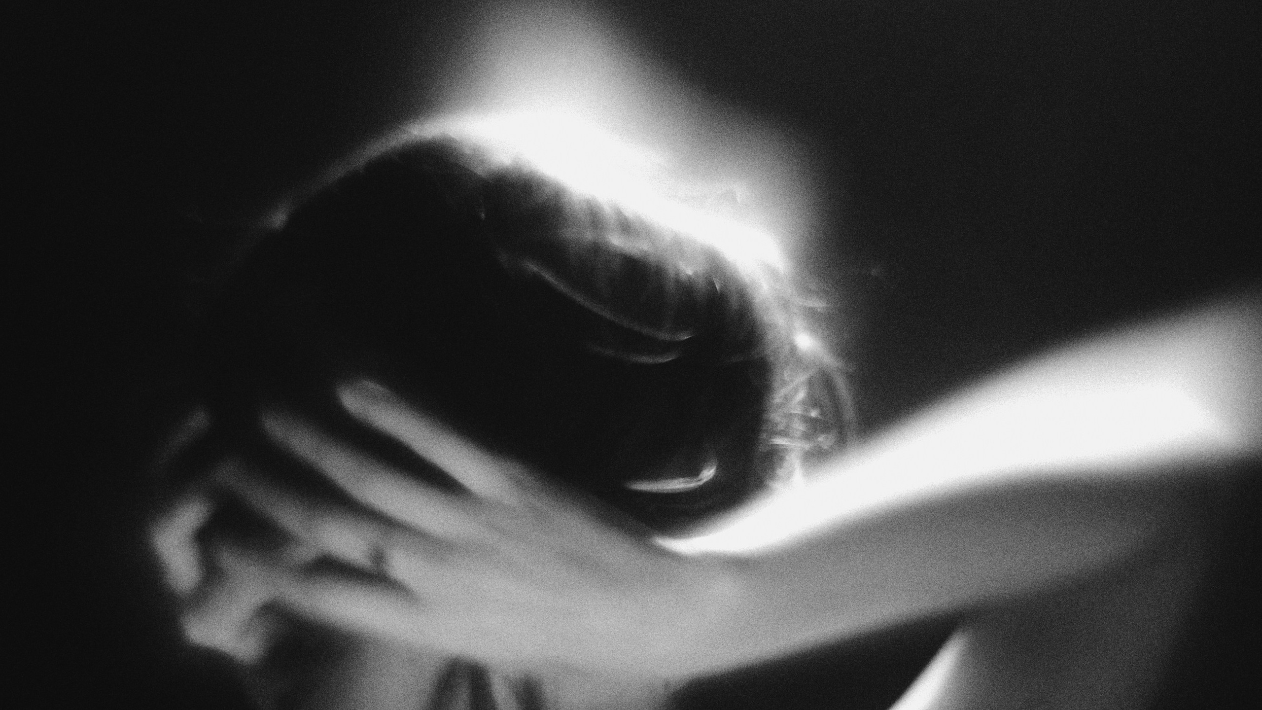 Veronika Popadeikina Photographer