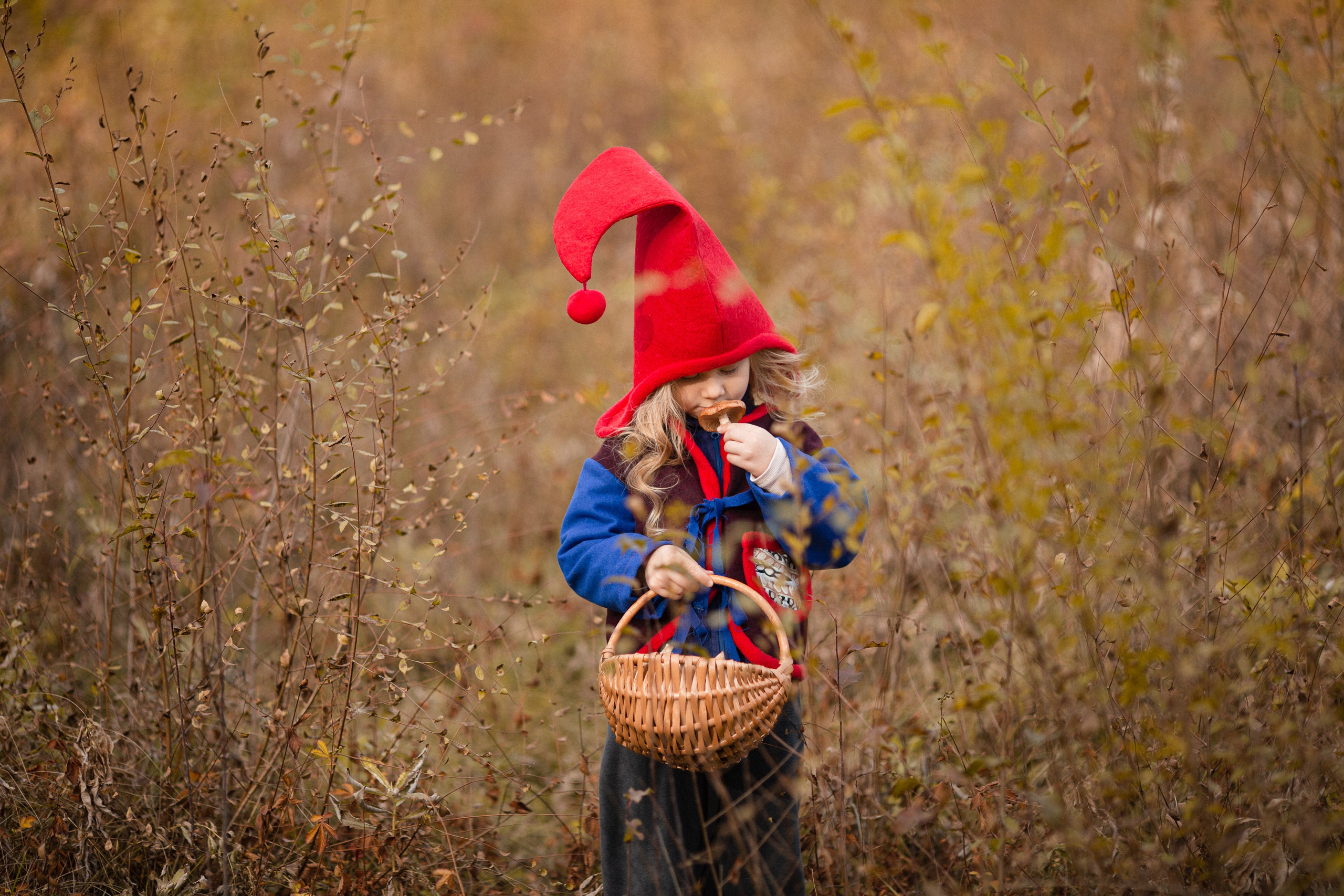 Лесные гномы