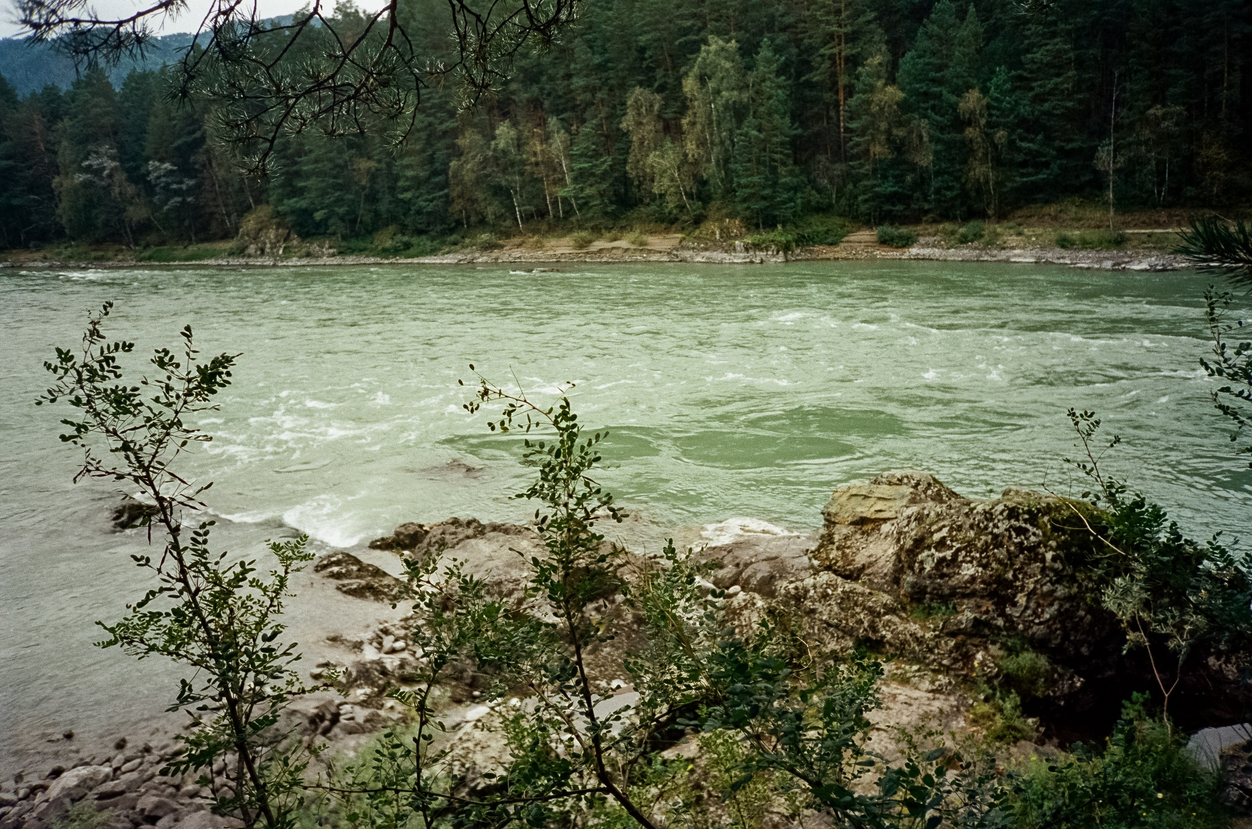 Тихий берег и Скала. Панорамы Катуни. Фотограф-документалист Мария Осокина