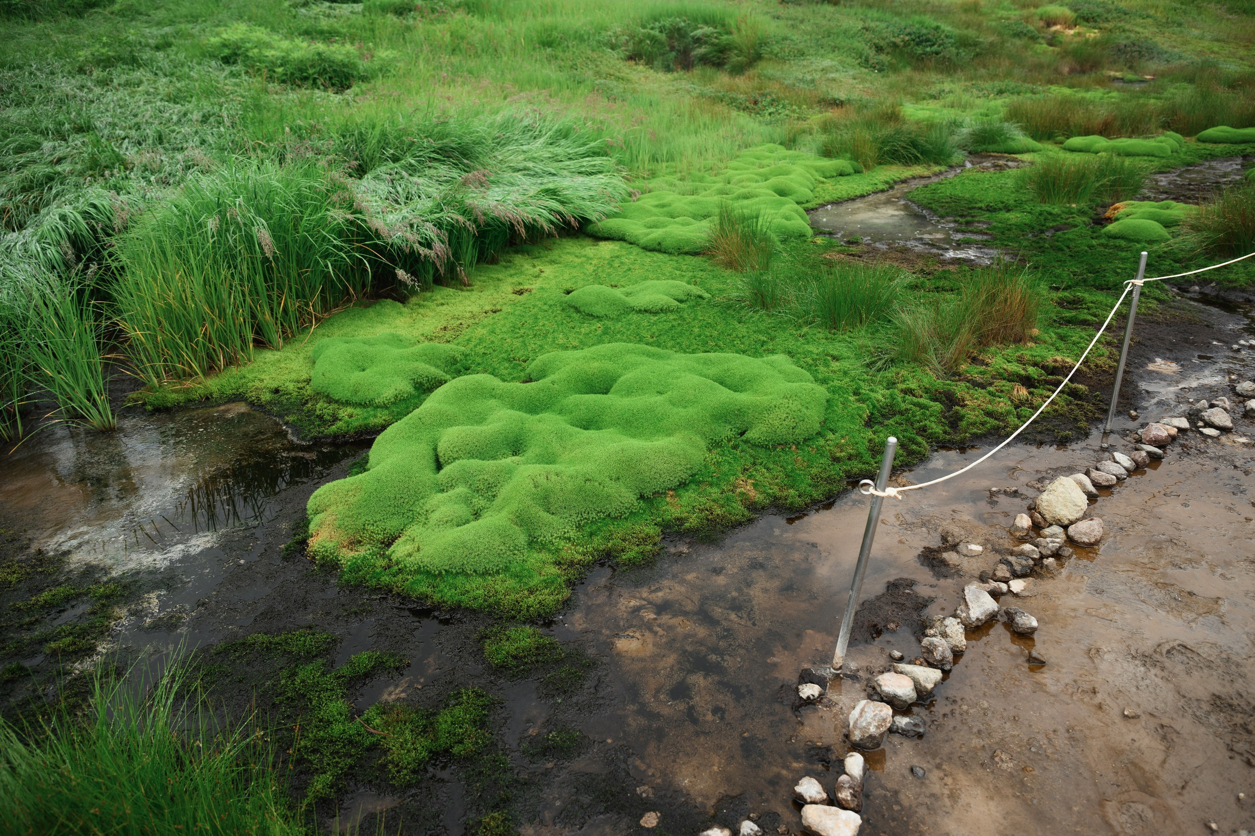 Фотосъемка восхождения на Мутновский вулкан в рамках экофорума в Петропавловске-Камчатском. Экспедиционная фотосъемка на Мутновский вулкан с участниками экофорума в Петропавловске-Камчатском. Документальная съемка восхождения эко-активистов на вулкан в Петропавловске-Камчатском. Эко-экспедиция с фотосъемкой на Мутновский вулкан в Петропавловске-Камчатском. Профессиональная съемка восхождения на вулкан в рамках экологического форума в Петропавловске-Камчатском.