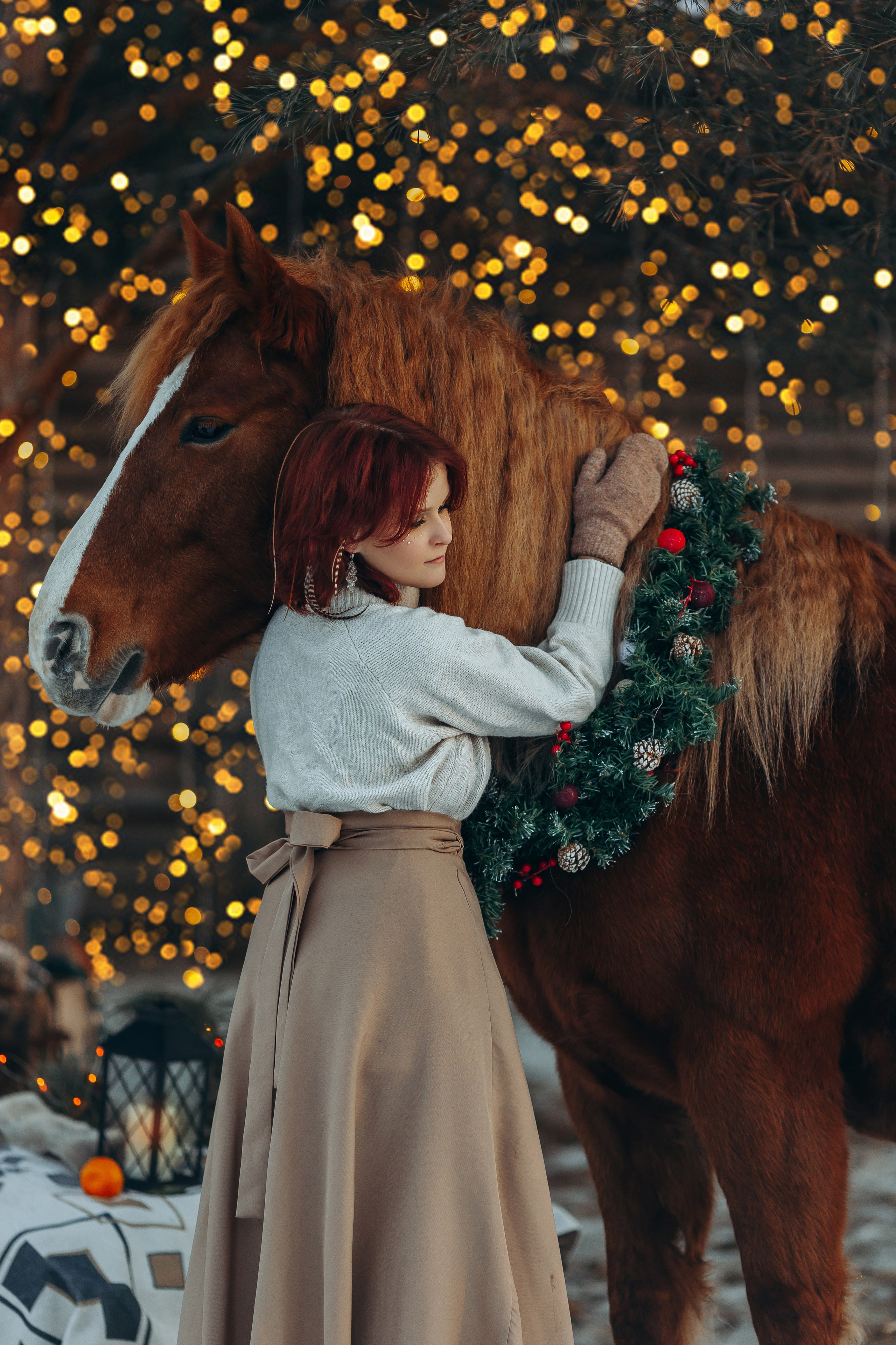 Тариф новогодний 2024. Анна Молчанова конный фотограф в Тюмени | фотосессии с лошадьми Тюмень