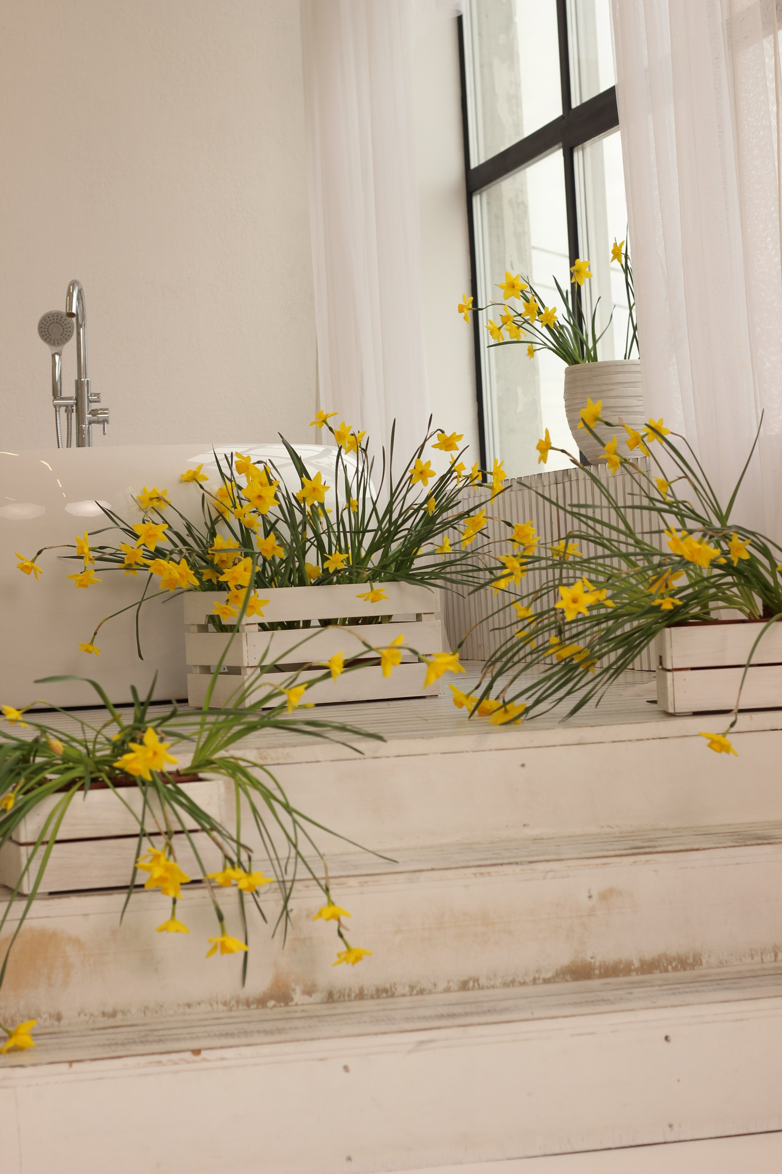 Конфиденциальная съемка в фотостудии «Moon». Фотограф Красноярск