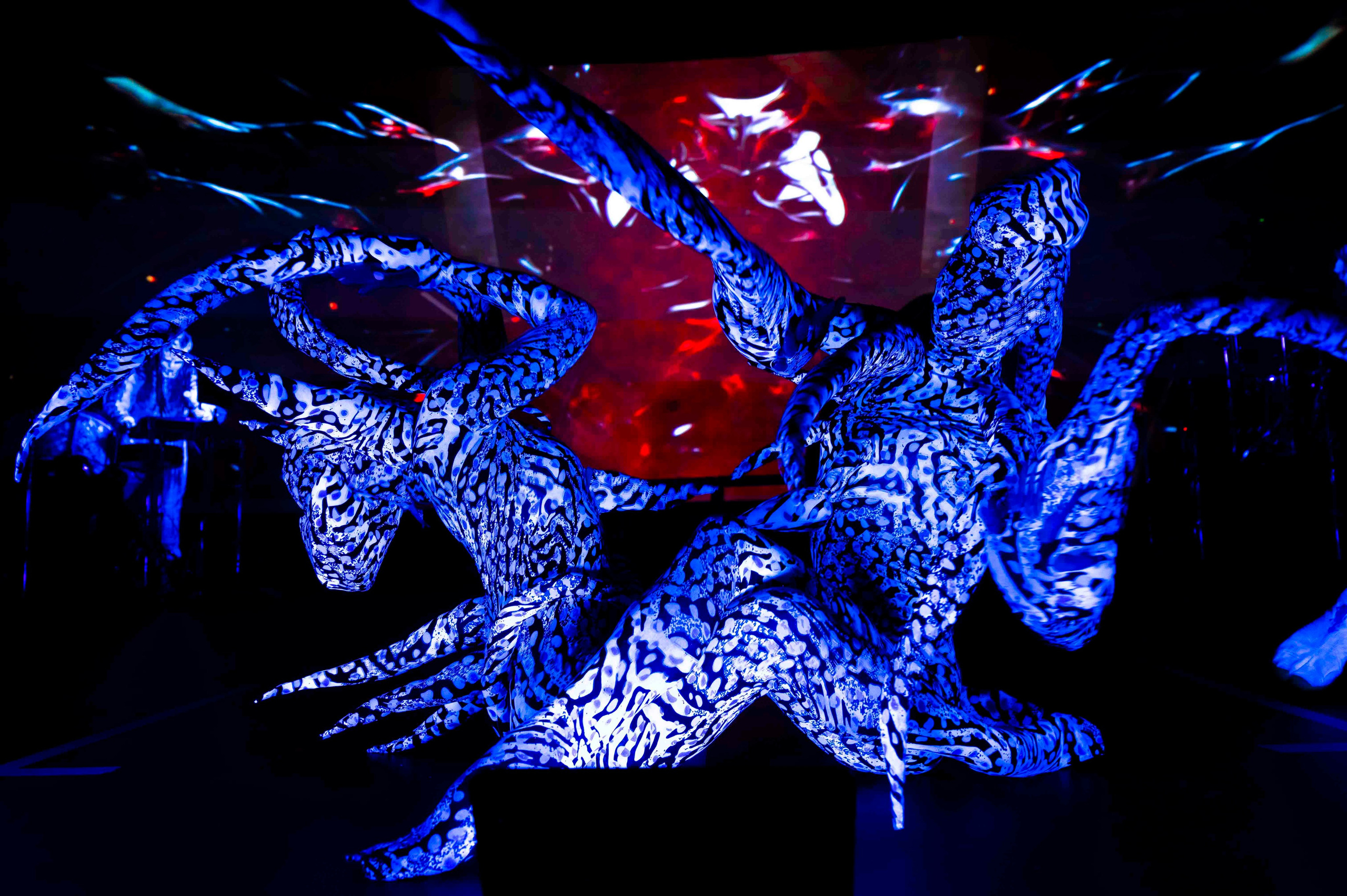 Biopsyhoz в Петербурге. Serg PG Photography — репортажная фотосъемка в Петербурге