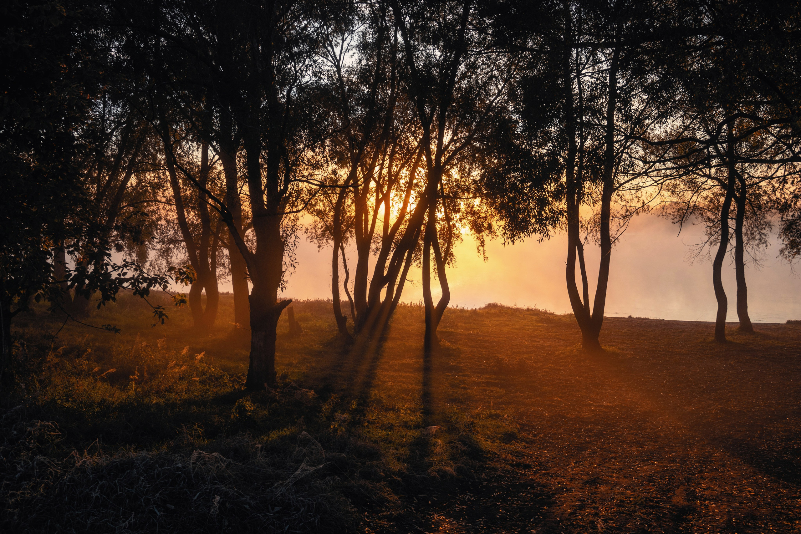 Волшебное утро в первый день октября. С любовью, фотохудожник