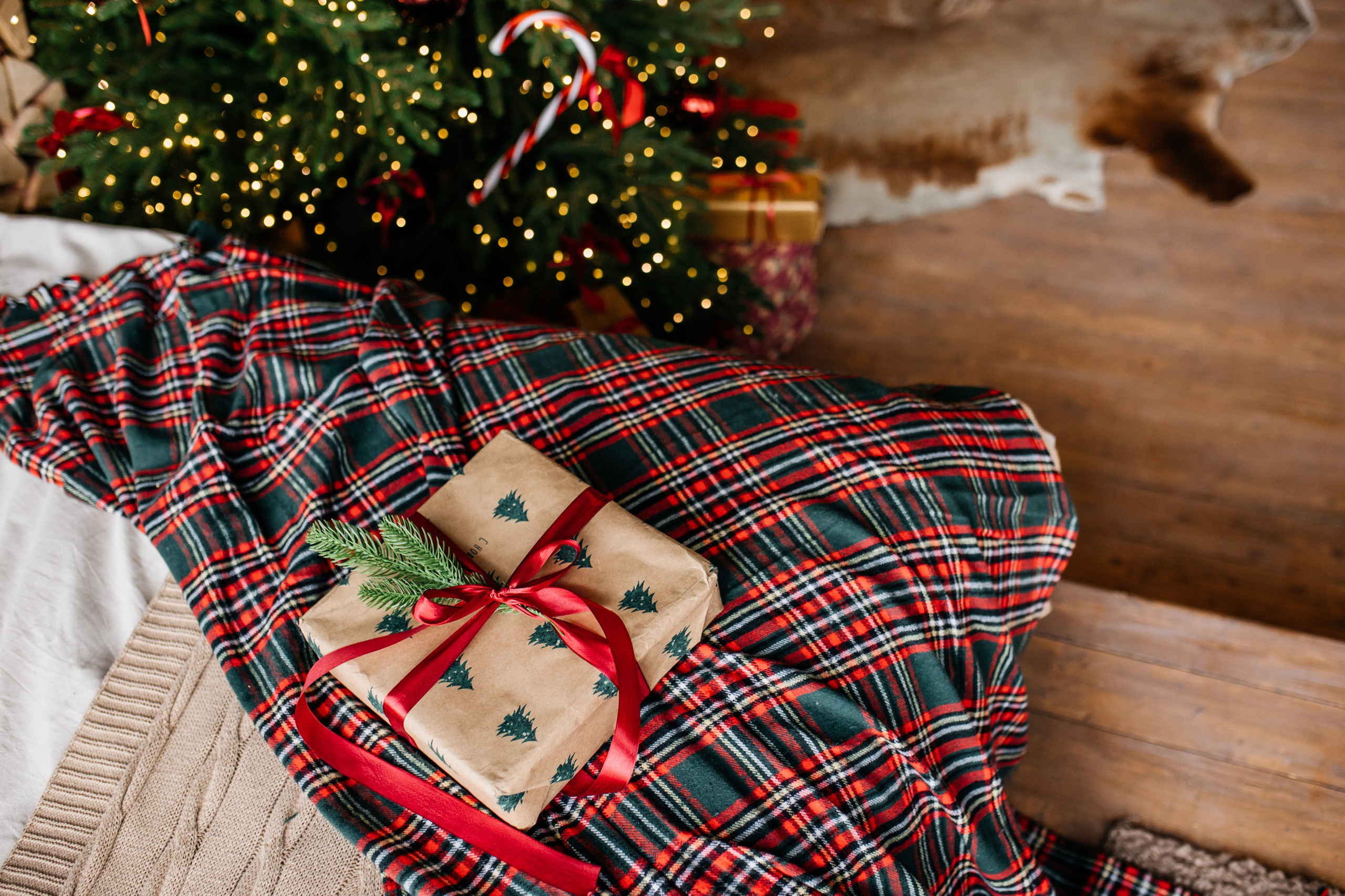 ETO Studio — фотостудия в Минске. Понравилась студия? Напишите — организую съёмку именно здесь. Фотограф в Минске Людмила Дутко