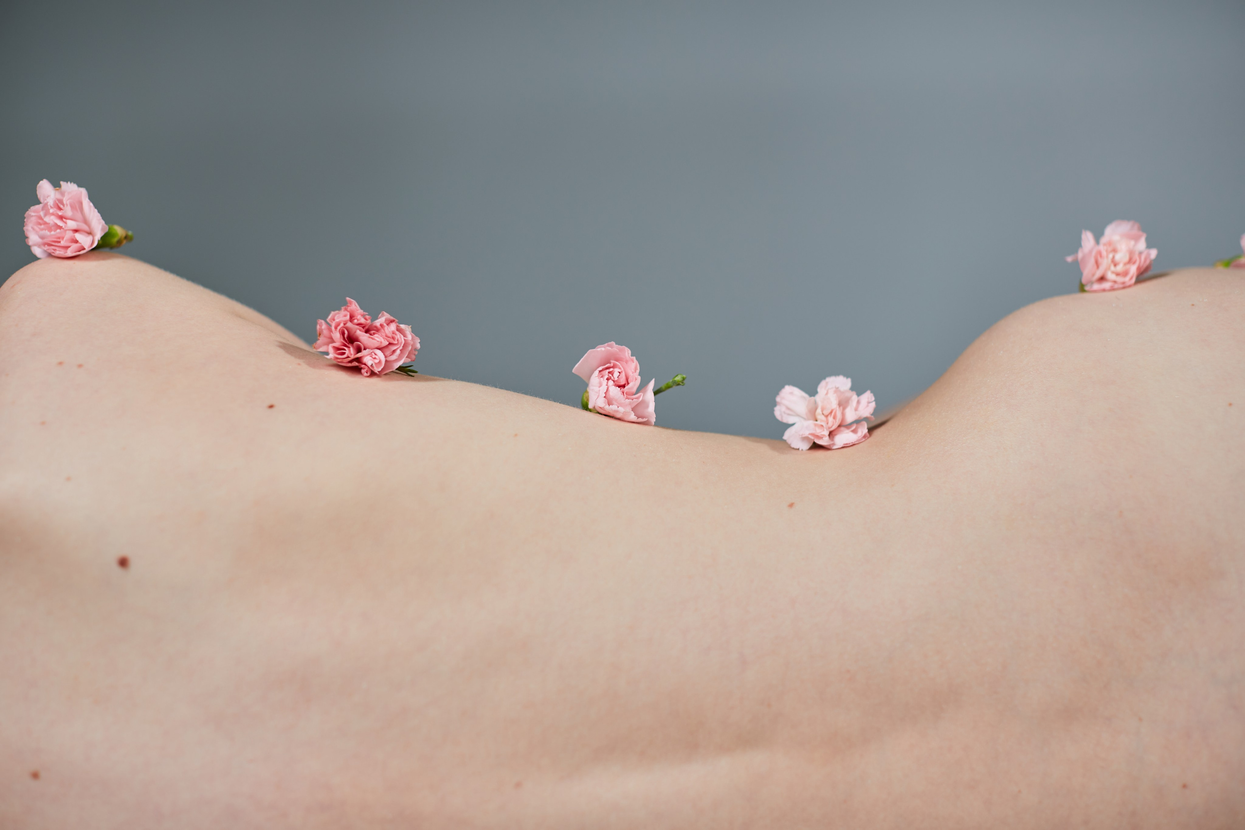 HEYDAY. Daria Blinova