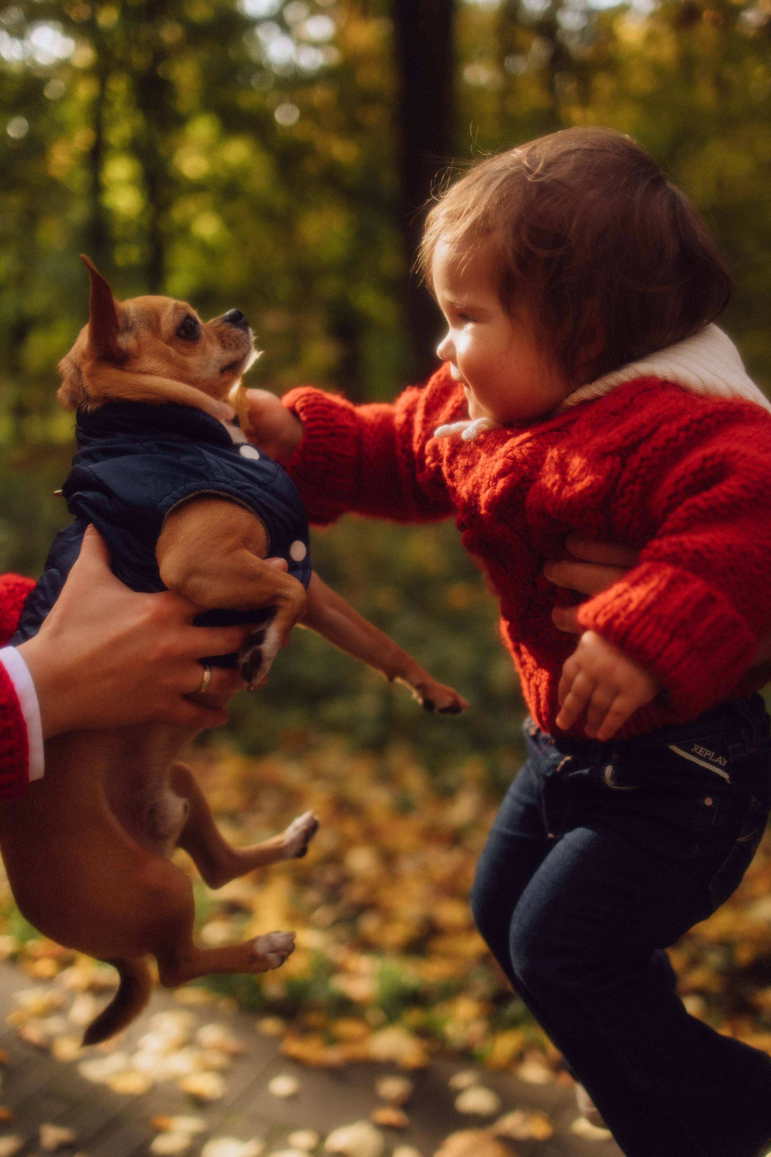 Осенняя семейная фотосессия в Москве. Семейный фотограф в Москве и Люберцах Юлия Гуськова
