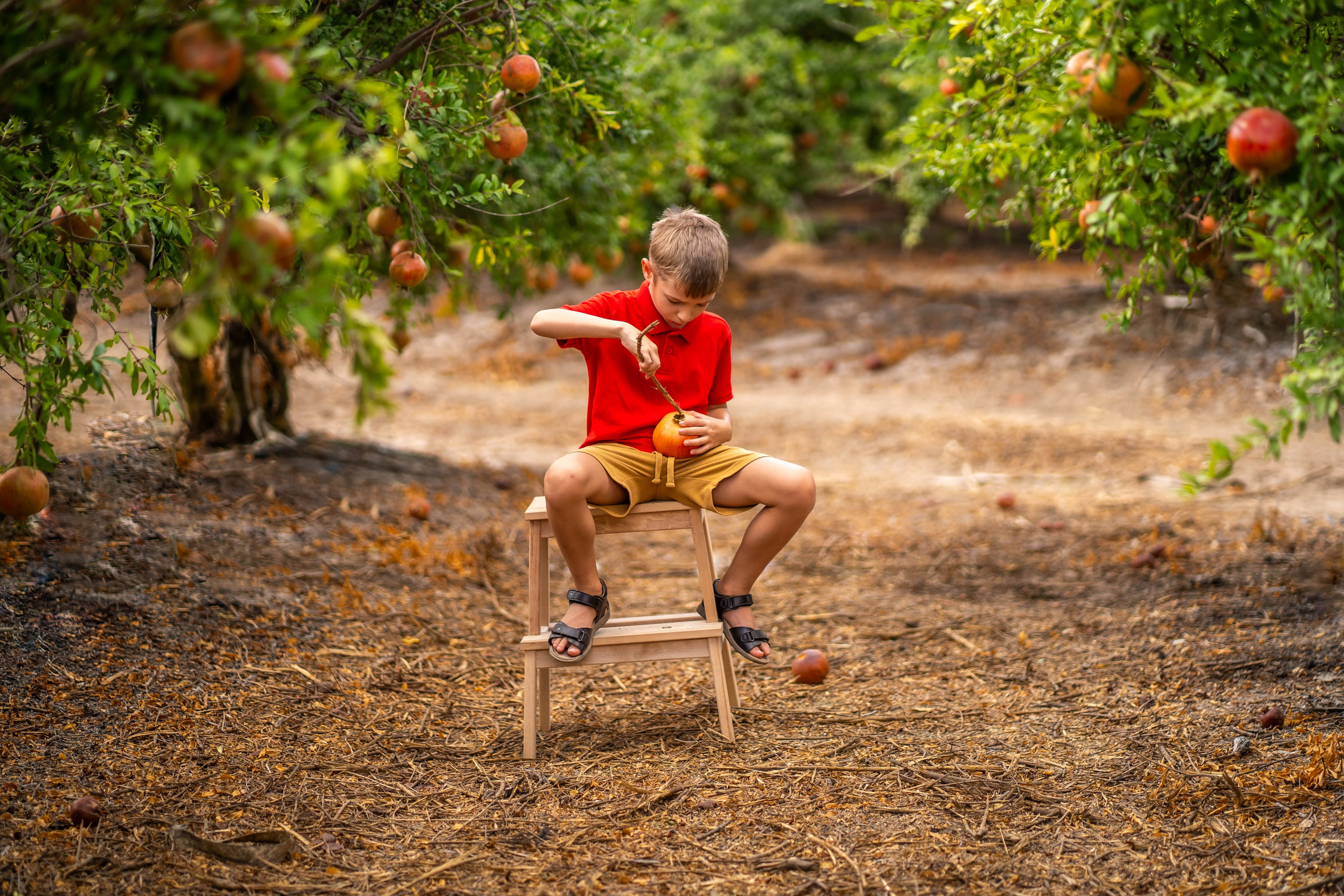 Гранатовый сад. Семейный и детский фотограф в Израиле и Москве Дорошок Надя
