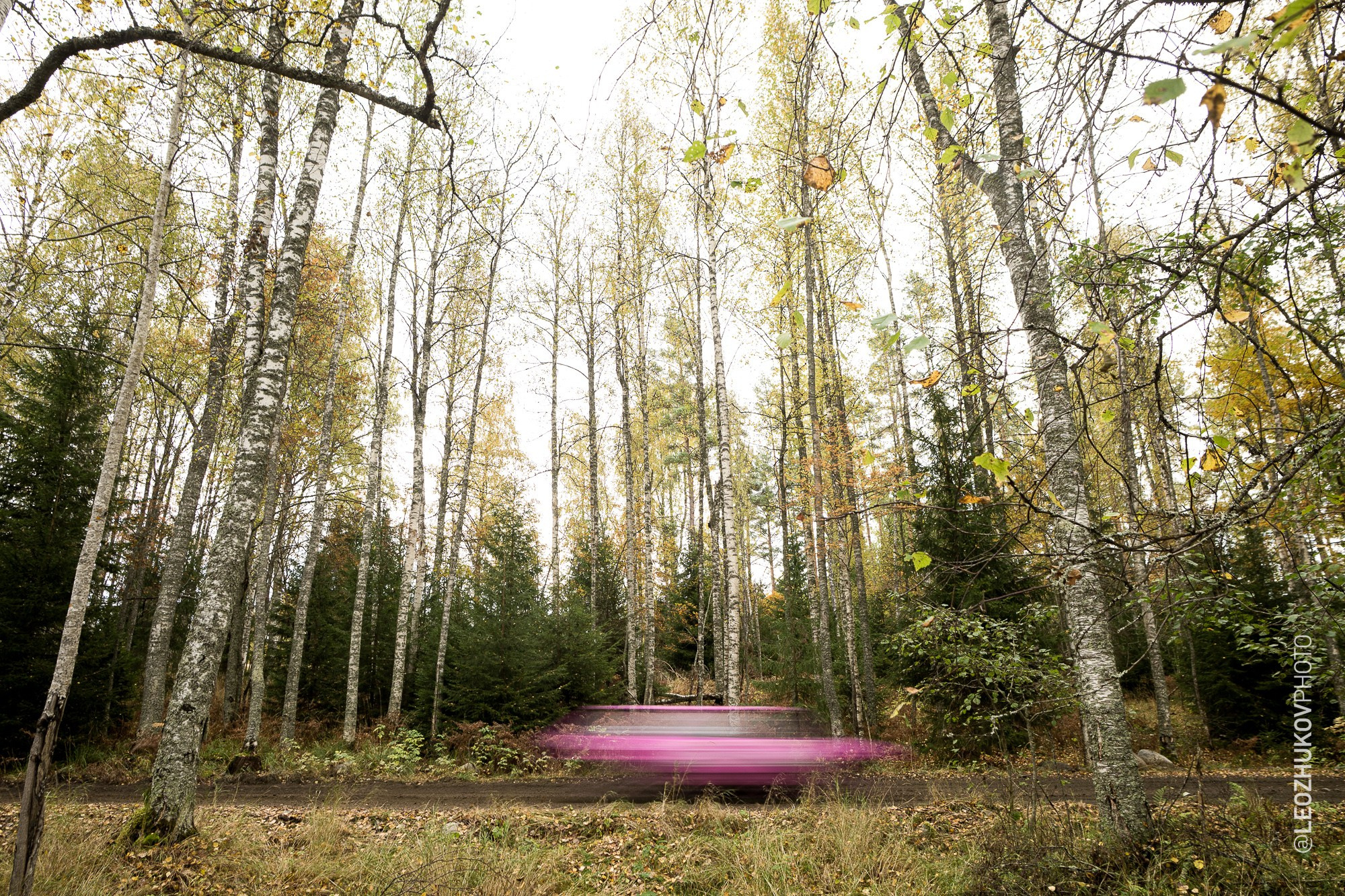 The 6th stage of Tatneft russian championships — Rally Sortavala 2026