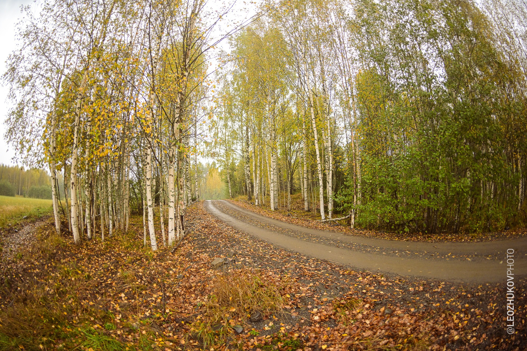 The 6th stage of Tatneft russian championships — Rally Sortavala 2026