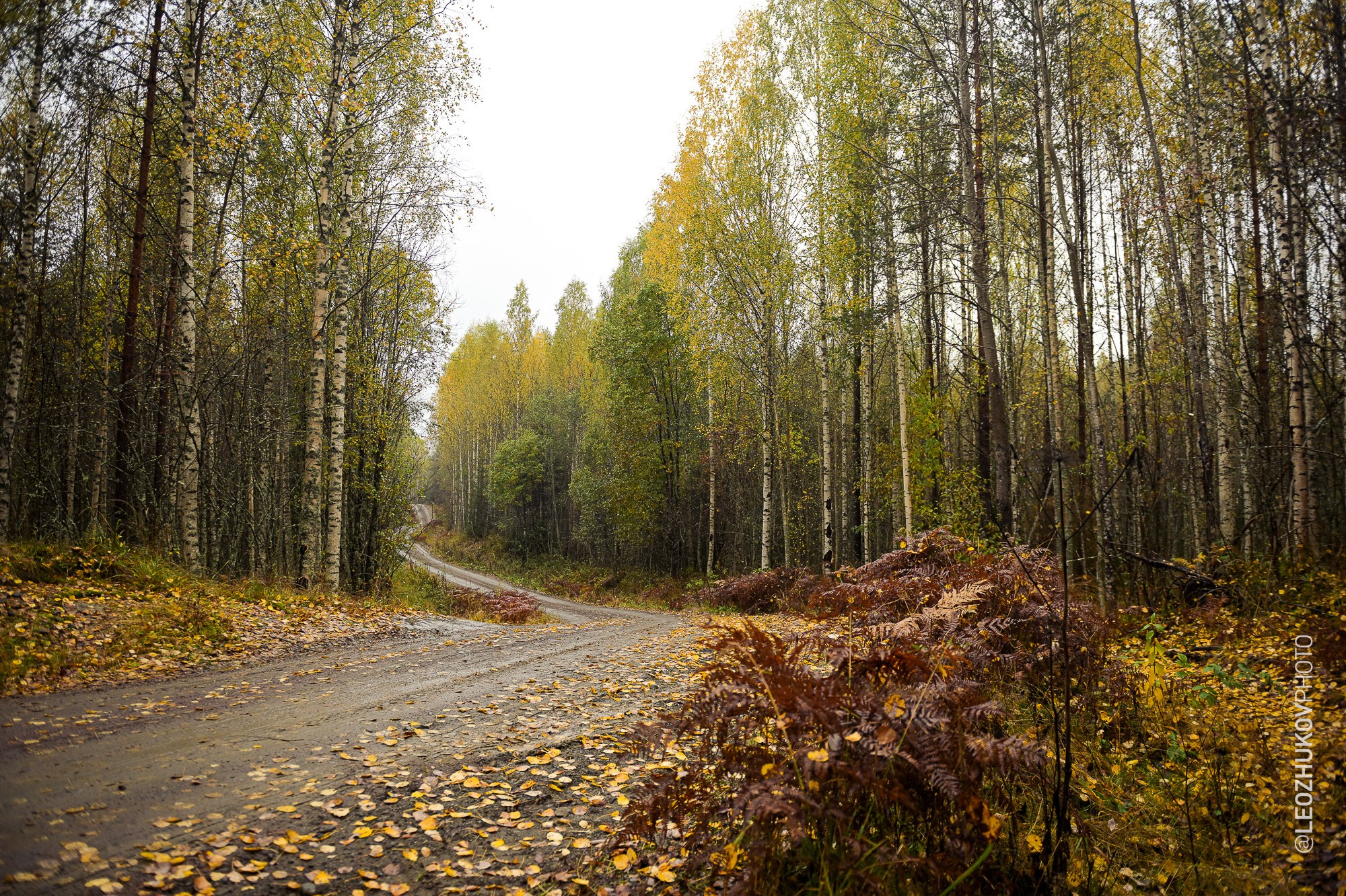 The 6th stage of Tatneft russian championships — Rally Sortavala 2026