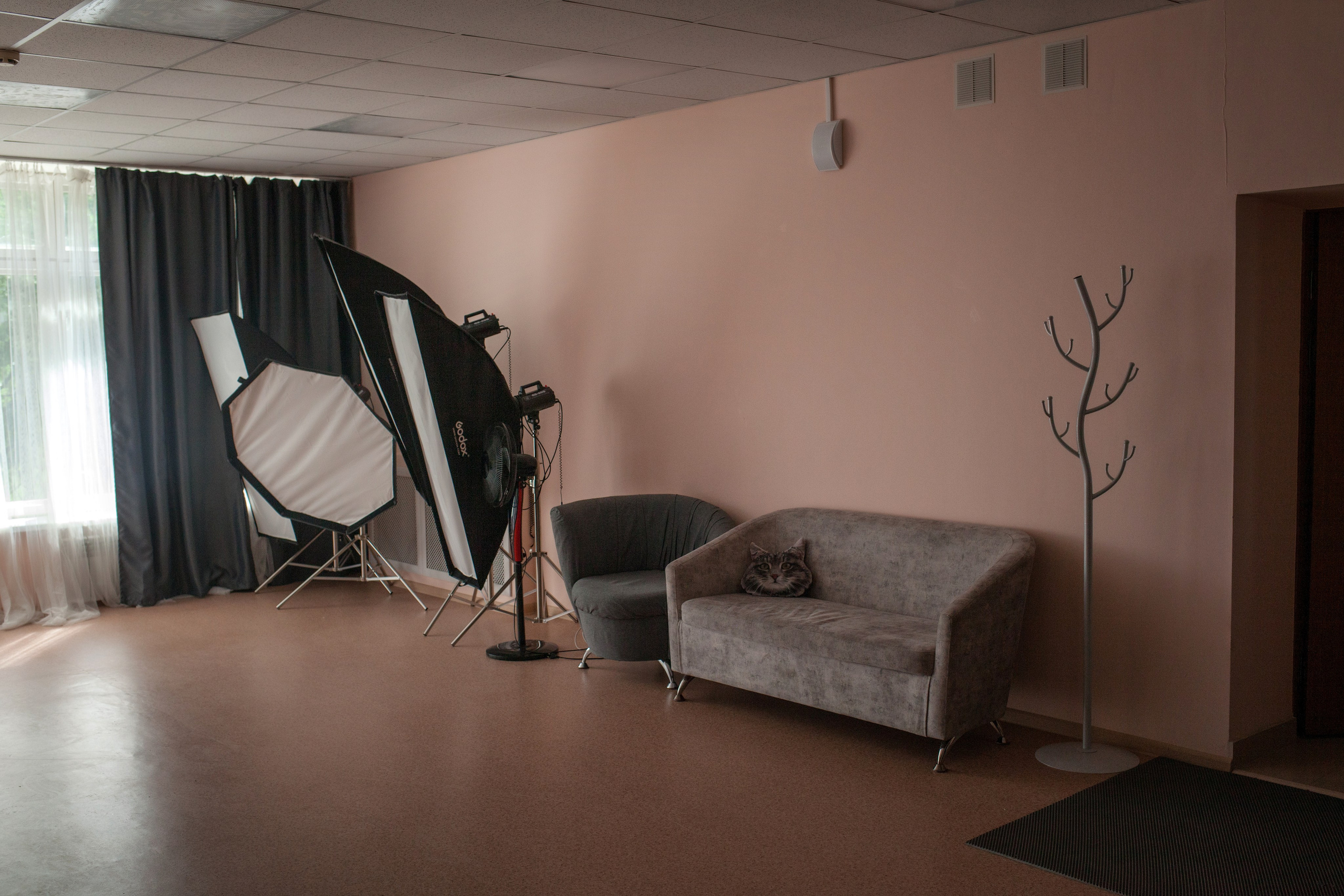 Творческое пространство IRBIS. Фотограф Ирина Бобрешова. Коряжма