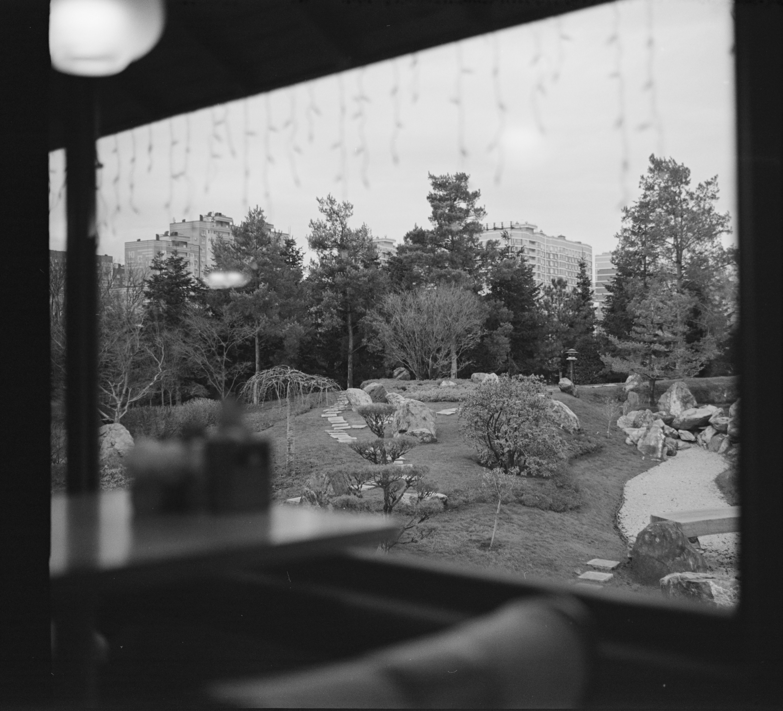 Альбом «Киссатен» г. Краснодар. Проект «Проявленные в кофе»