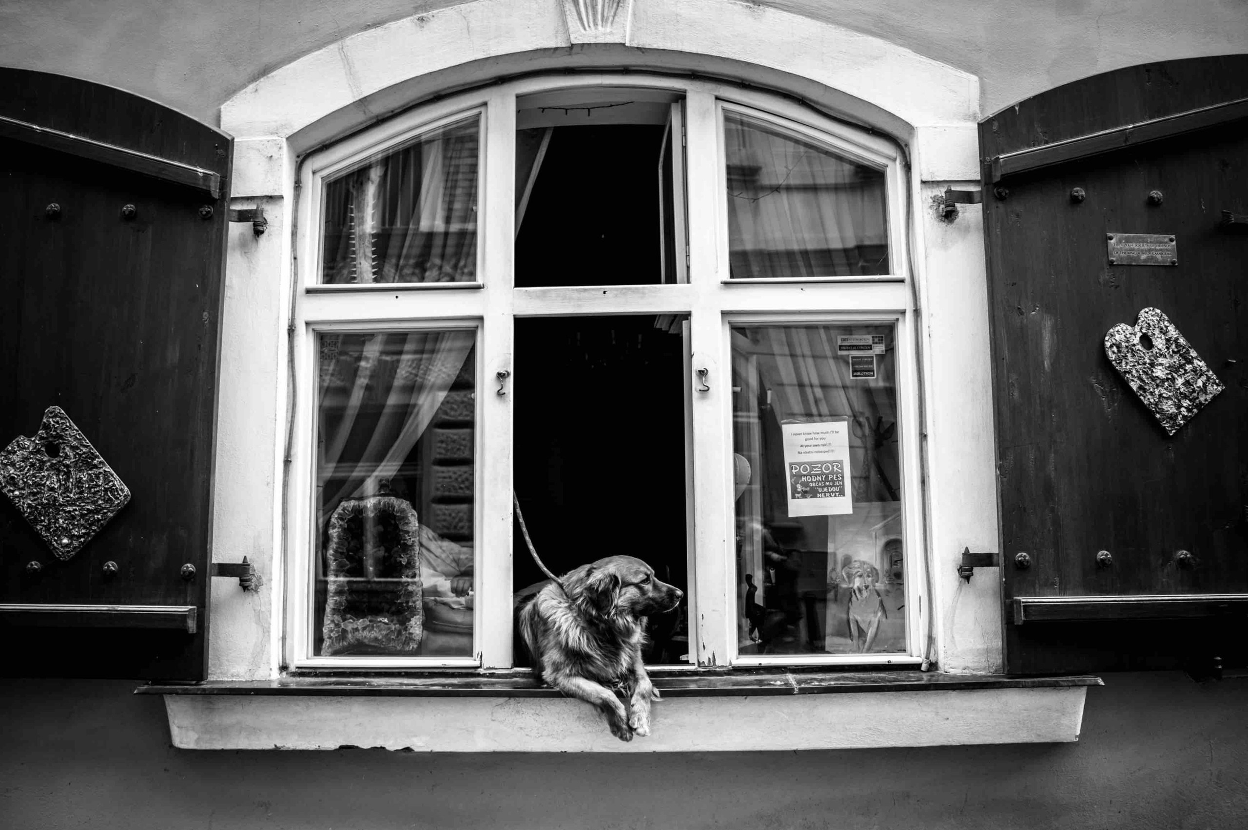 Курс «Стрит фотография»