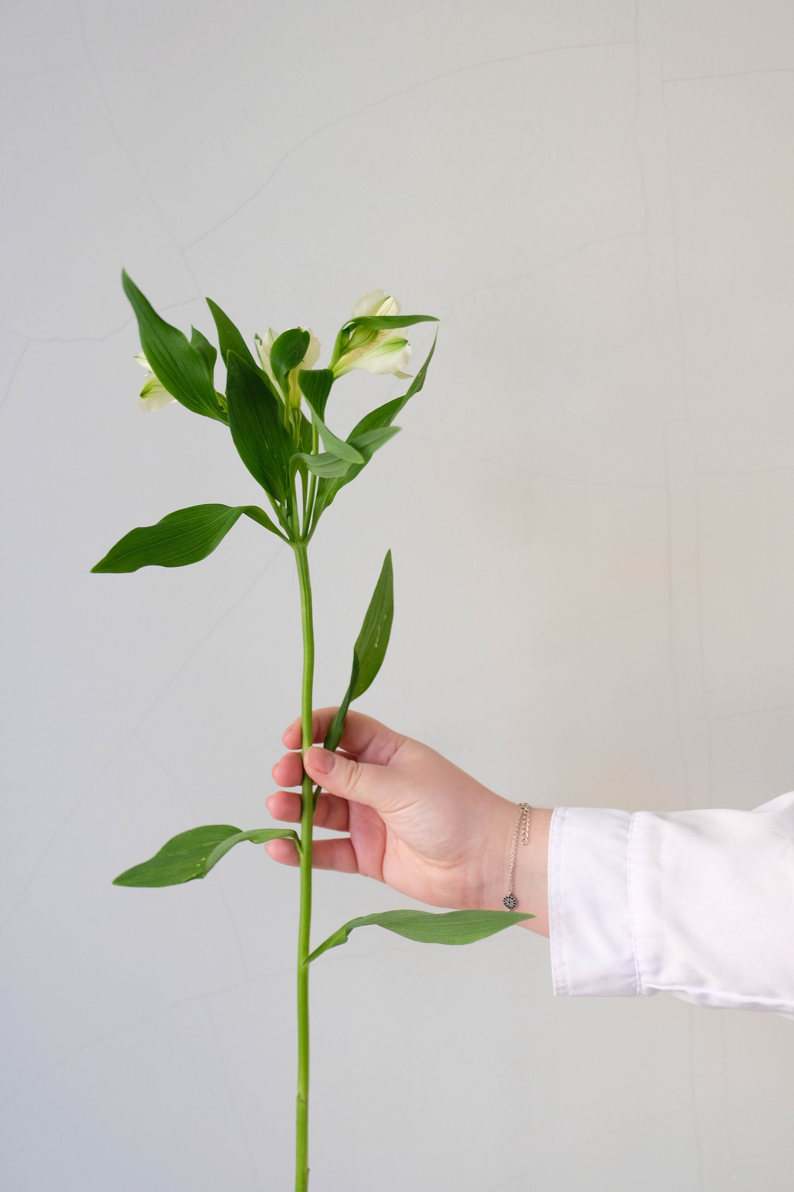 Какой контент нужен медцентру в Санкт-Петербурге