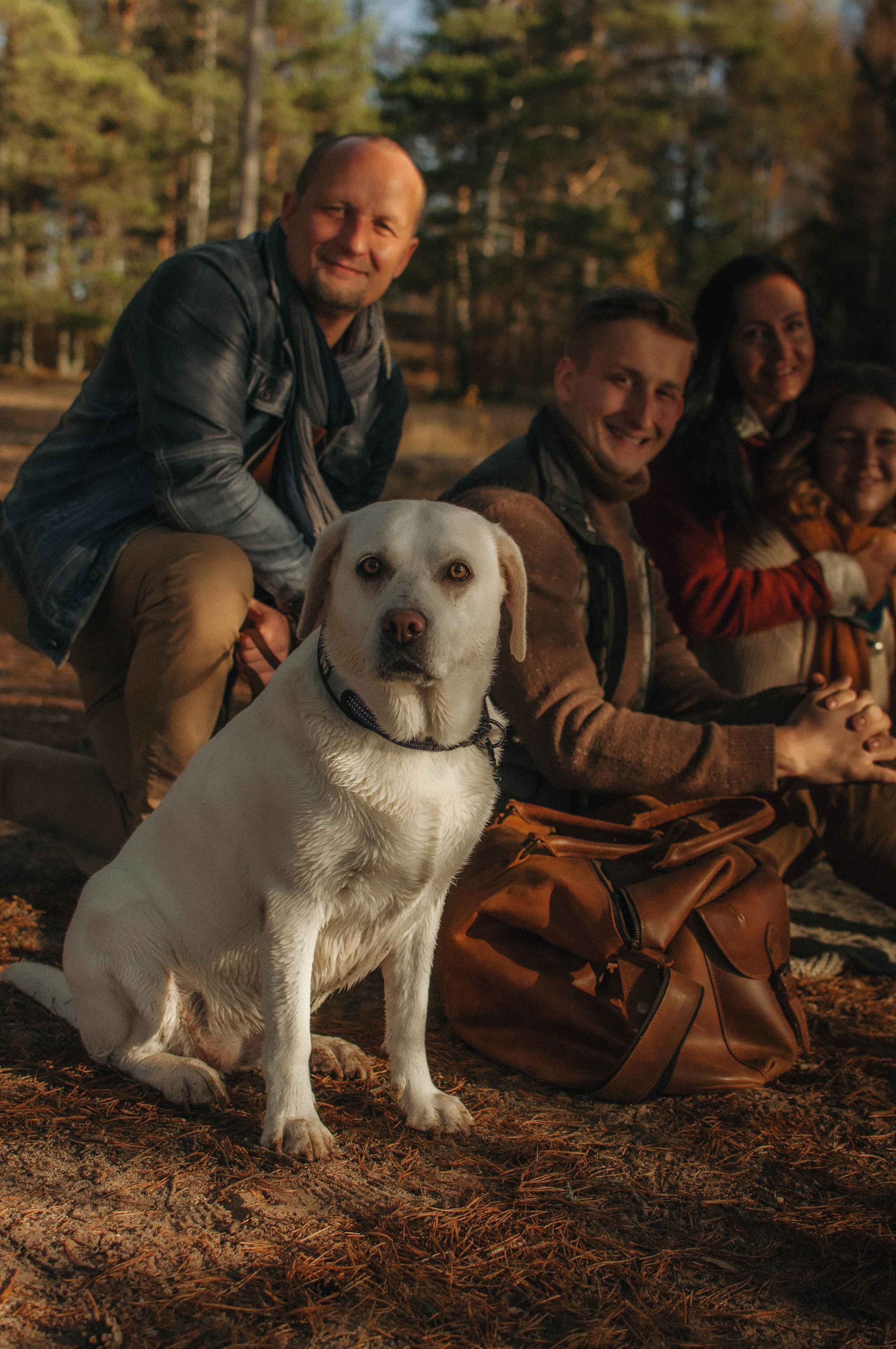 Осенняя история. Семейный фотограф из Петрозаводска, Карелия