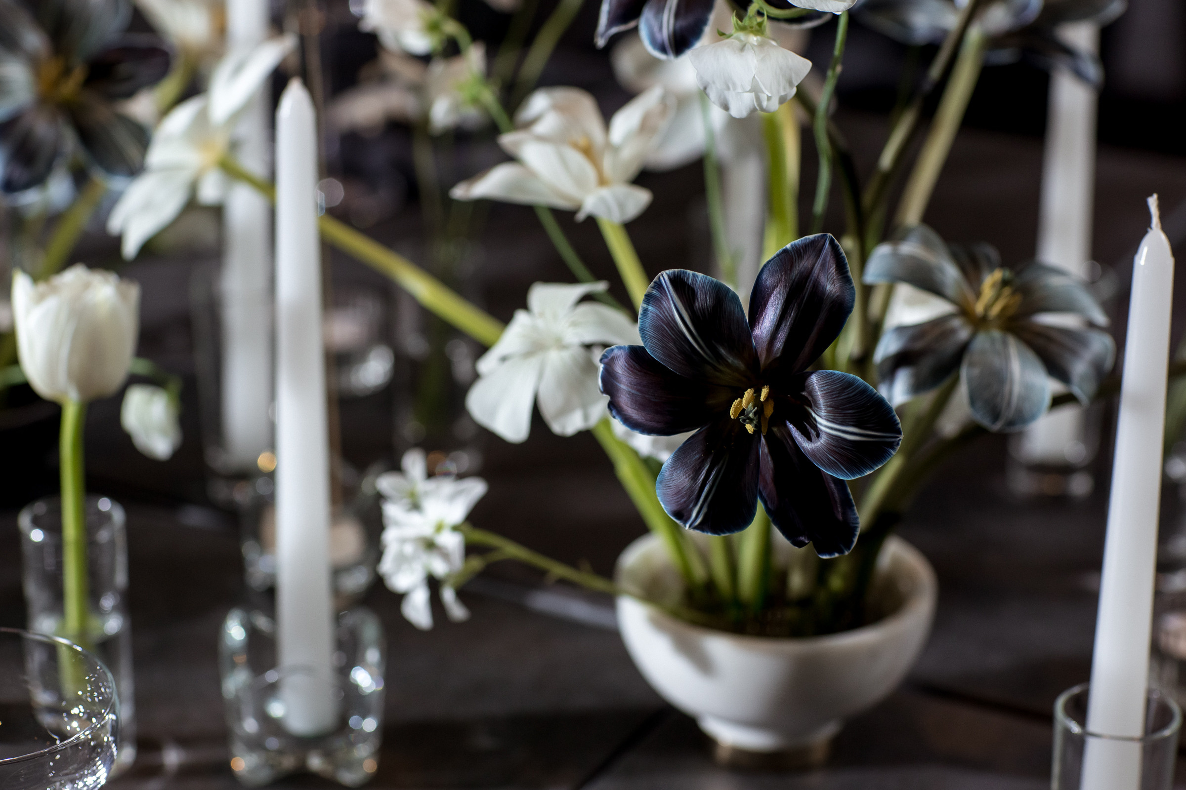 Свадьба Андрея и Елены. Свадебный и семейный фотограф Алексей Аверин