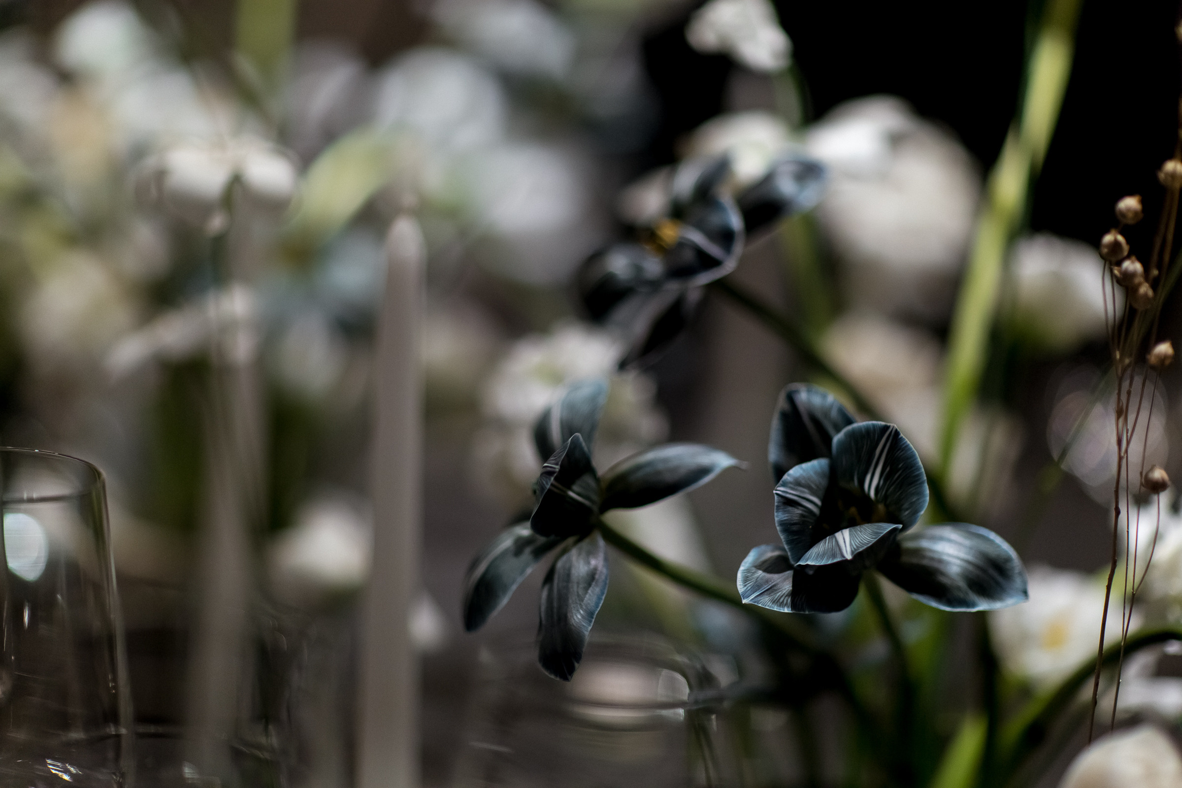 Свадьба Андрея и Елены. Свадебный и семейный фотограф Алексей Аверин