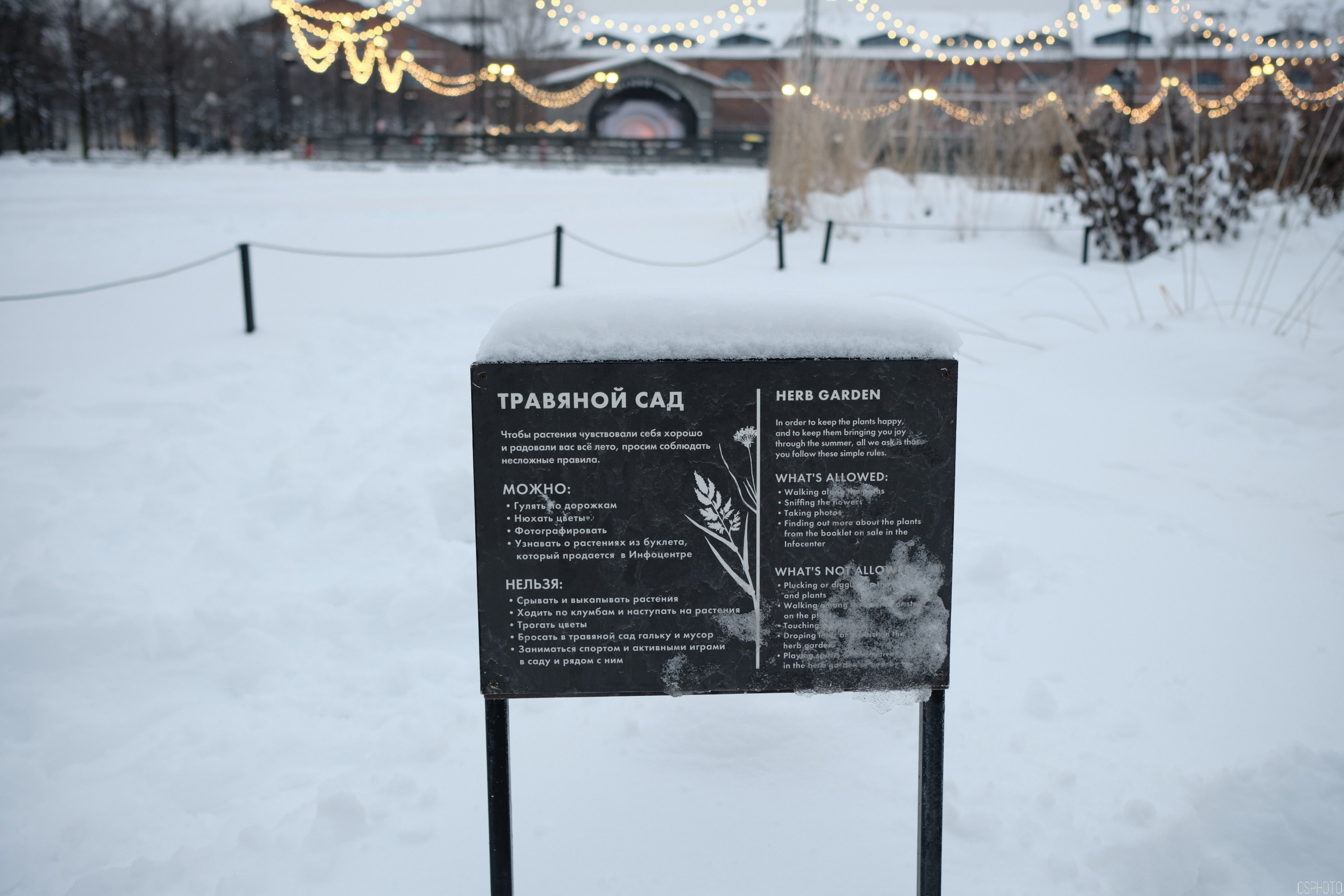 Снег и туман в Санкт-Петербурге. Фотографъ Сергѣевъ. Поймать мгновеніе