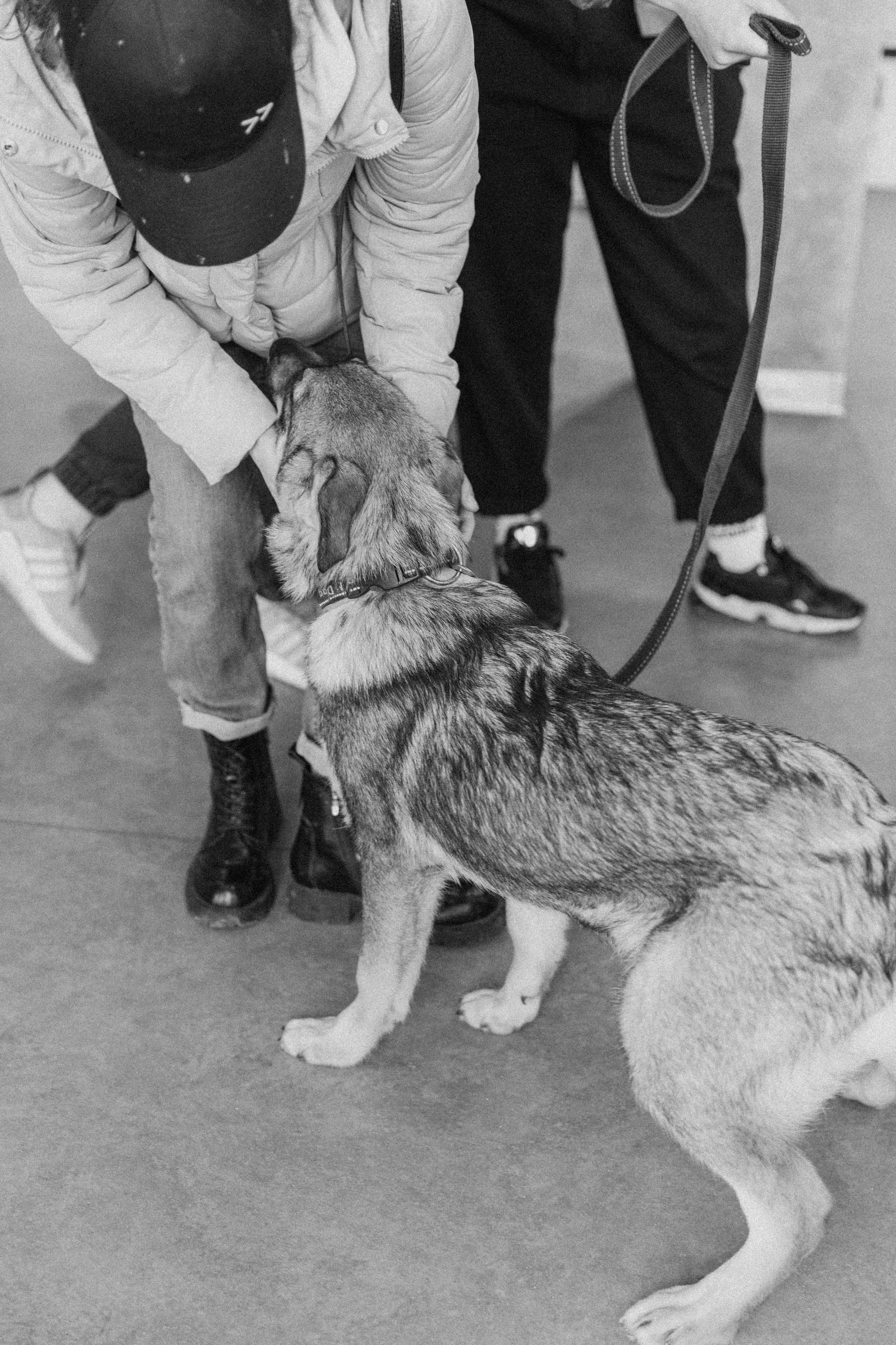 Бренды. Фотограф и коллажист Ольга Шереметьева