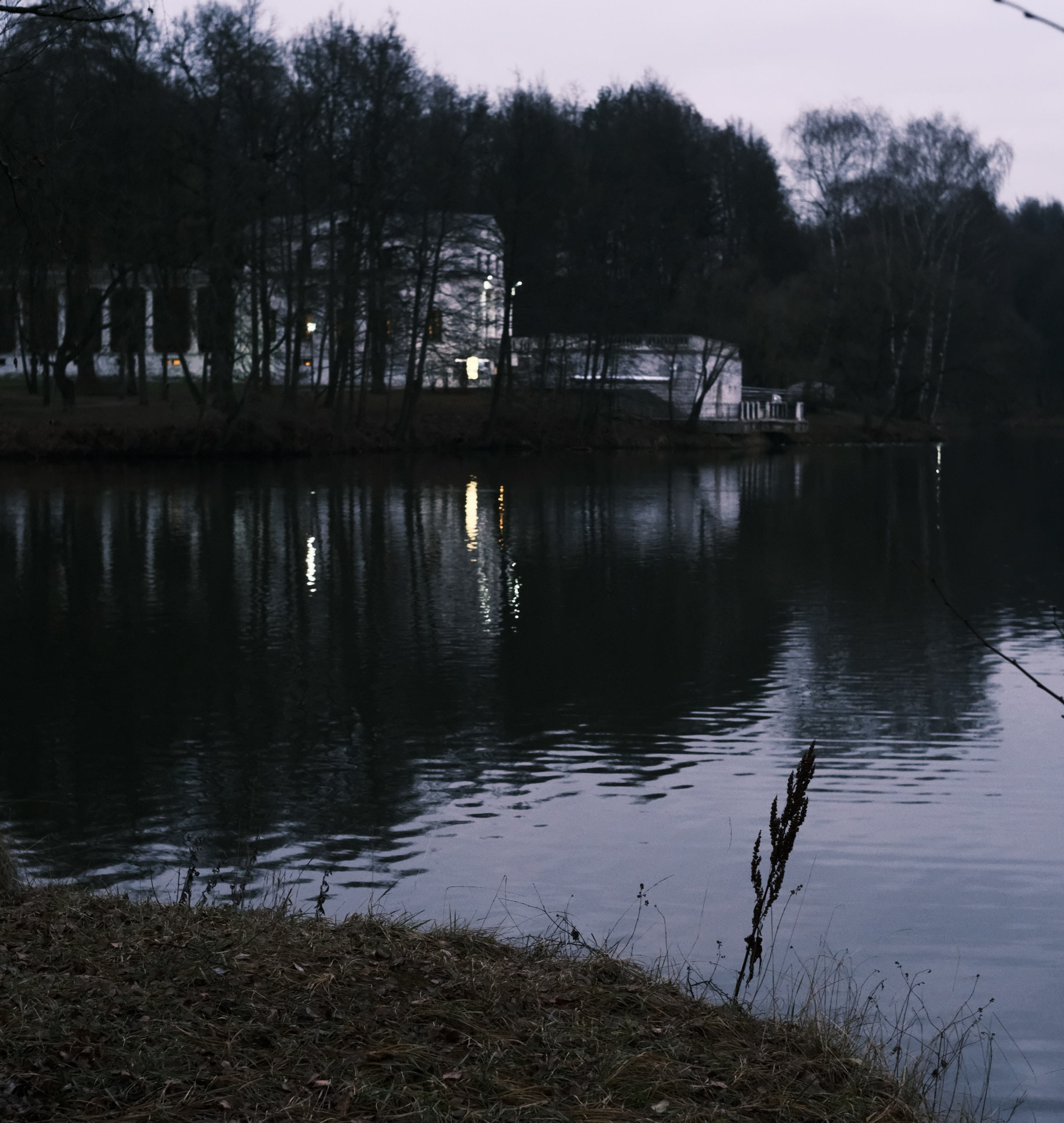 Усадьба со стороны большого пруда