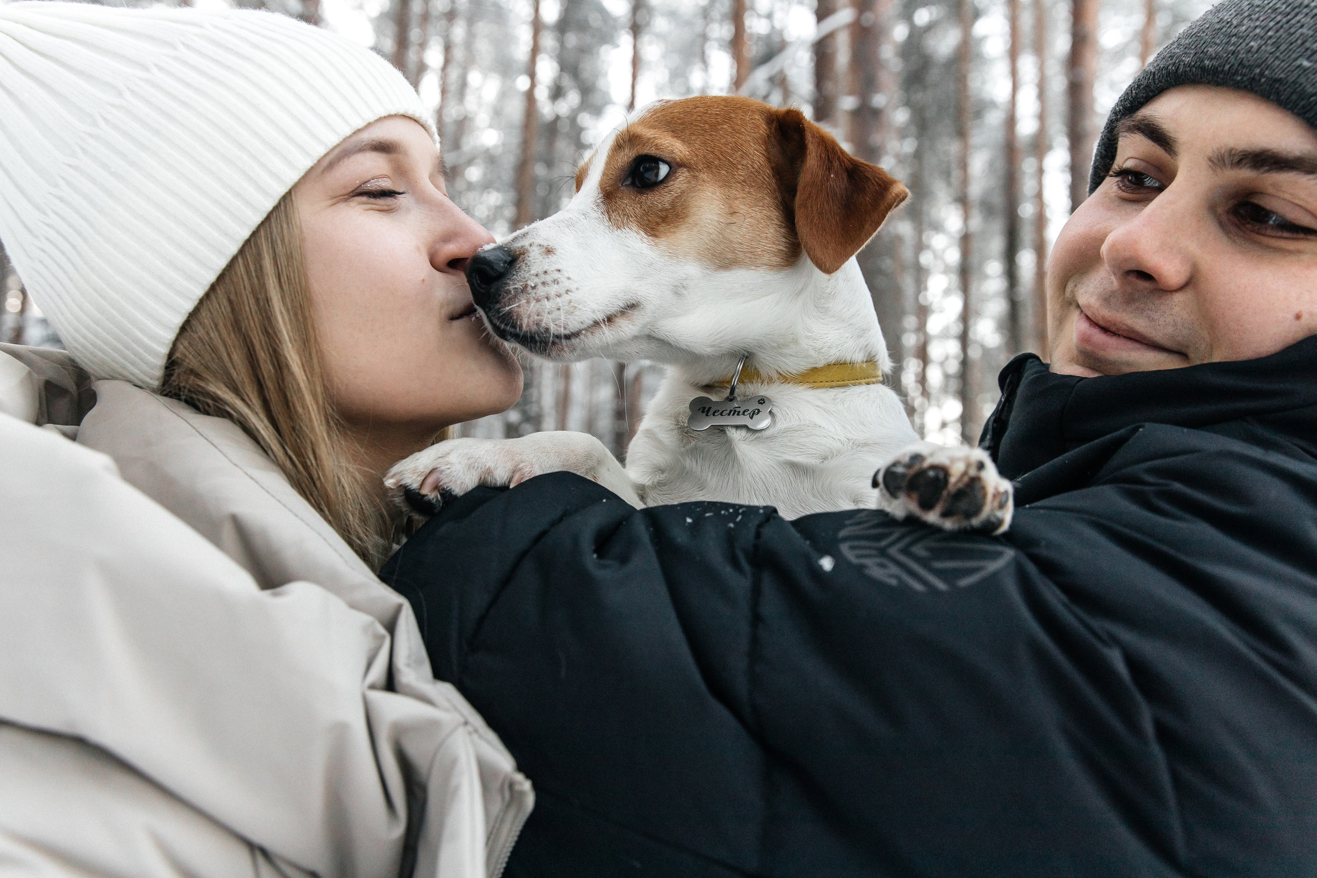 Света, Саша и Честер 🐾. Свадебный фотограф Настя Шелл г. Череповец