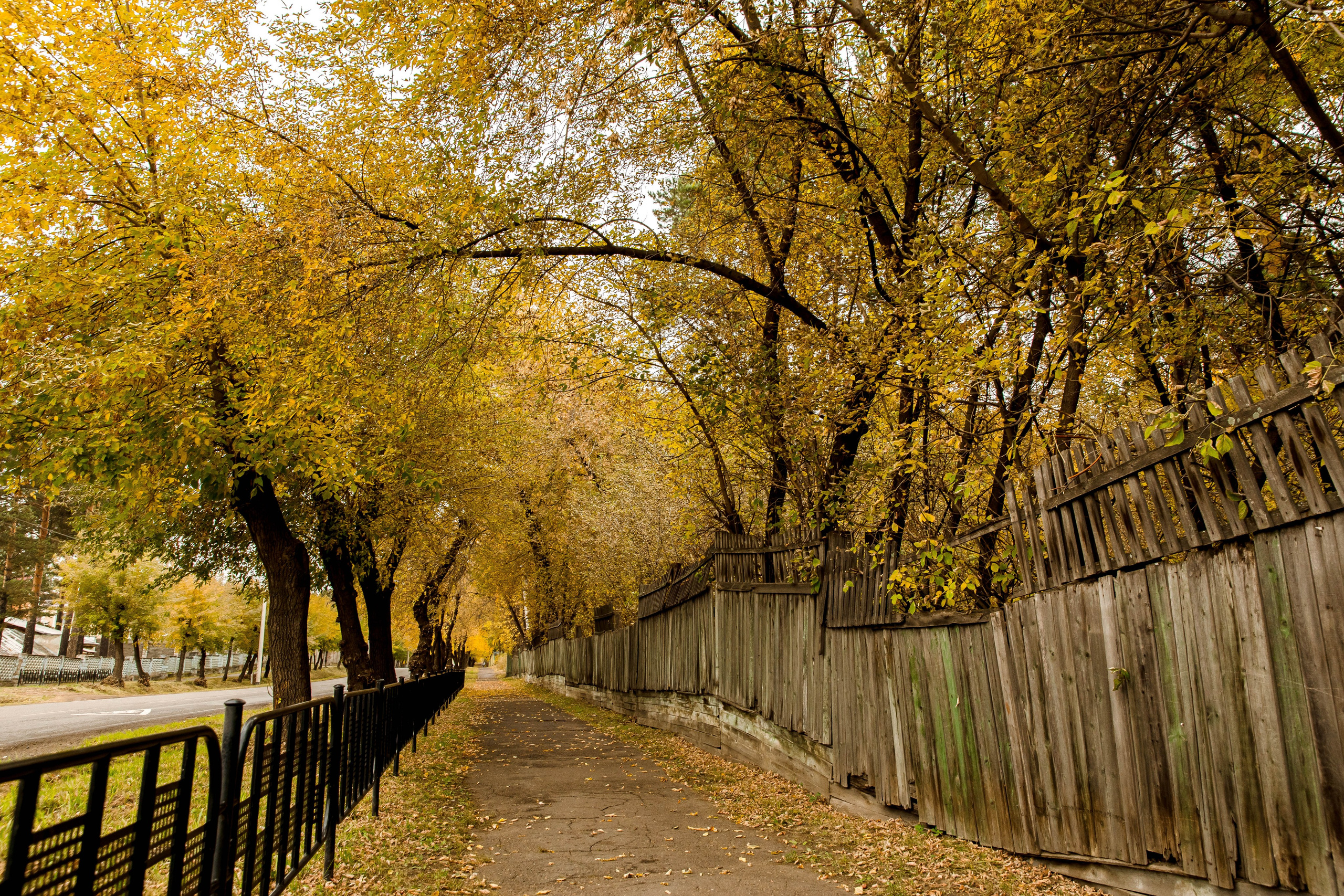 Осень в парке. Семейный и детский фотограф в Железногорске Саламахо Ольга