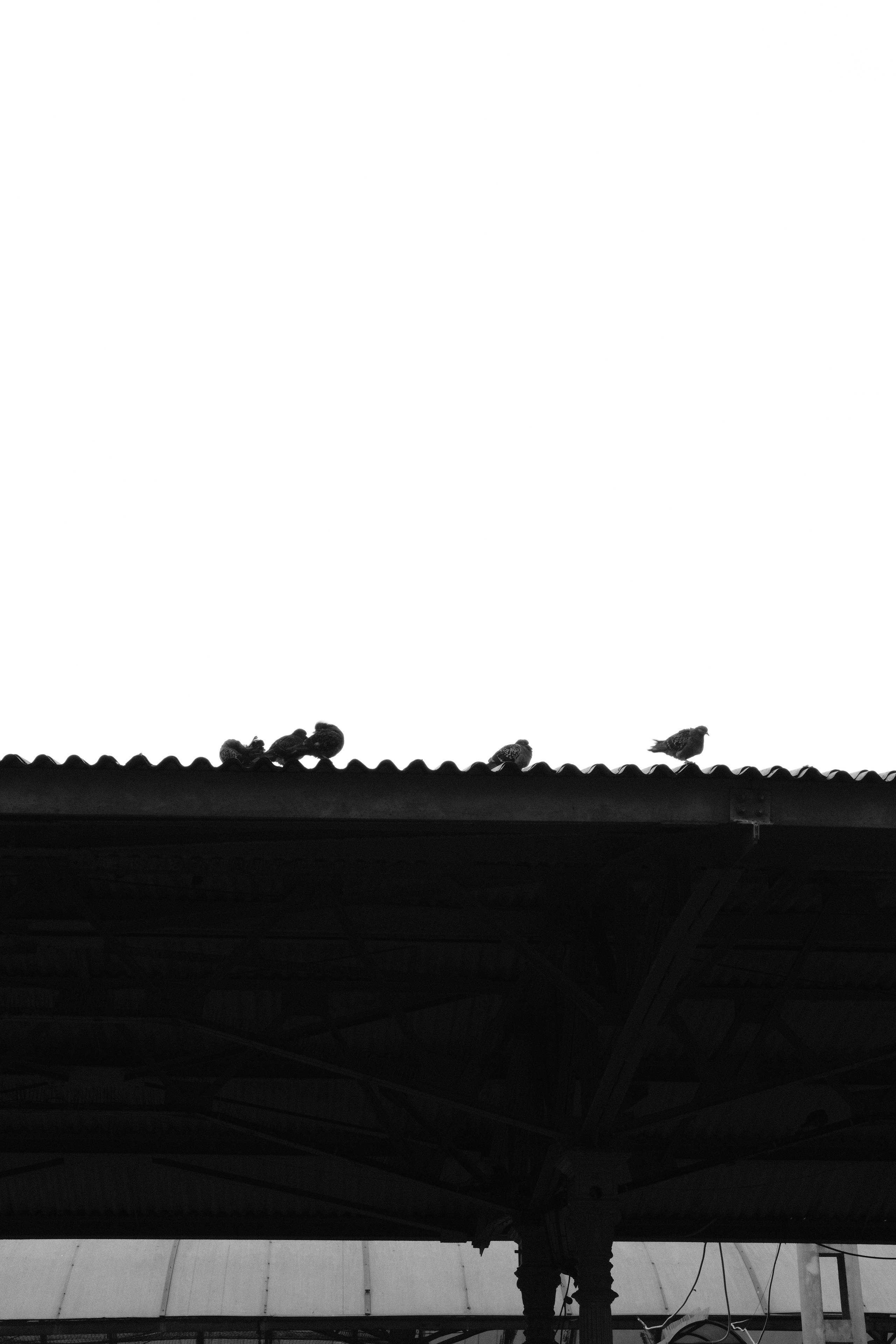 Сергиев Посад. Фотограф Маргана Лоция