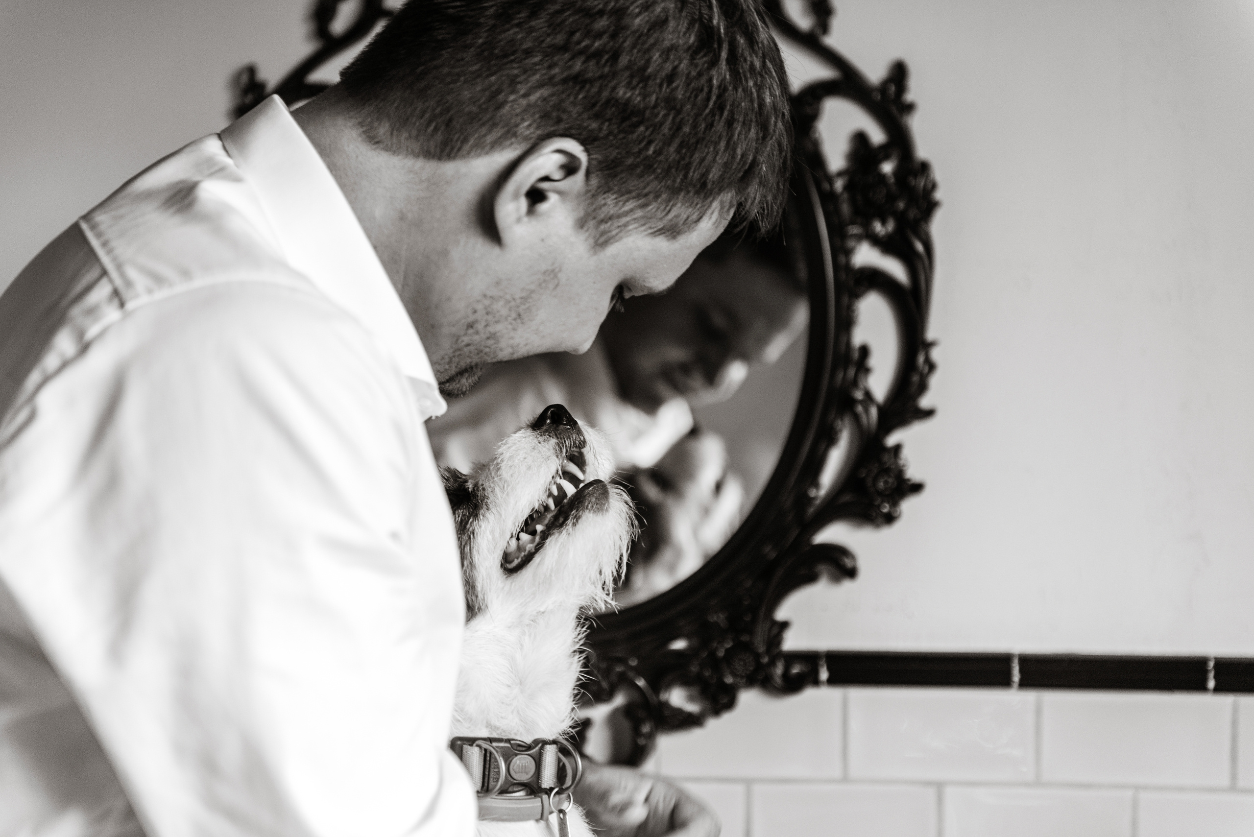 Дима и Даша. Свадебный и семейный фотограф Ксения Ржевская (Митрохина)