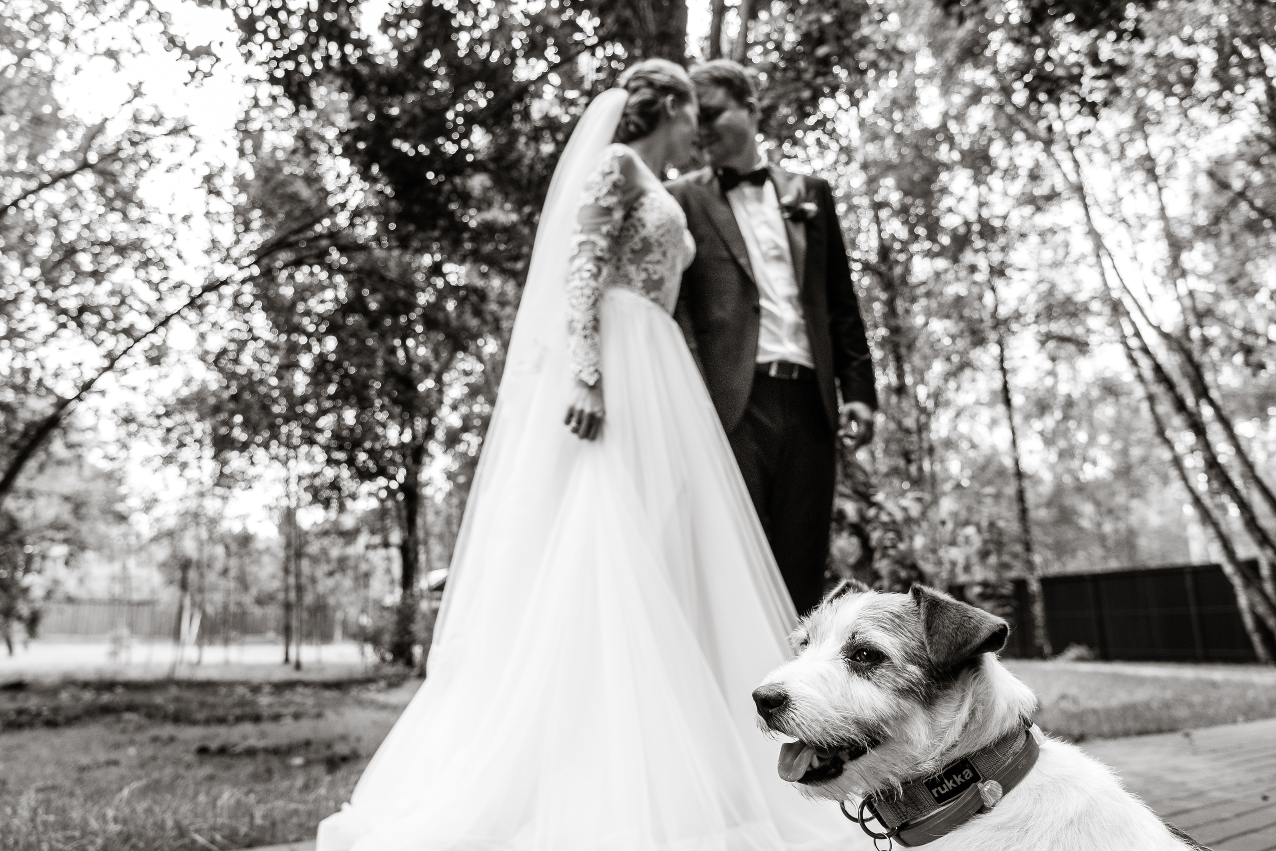 Дима и Даша. Свадебный и семейный фотограф Ксения Ржевская (Митрохина)