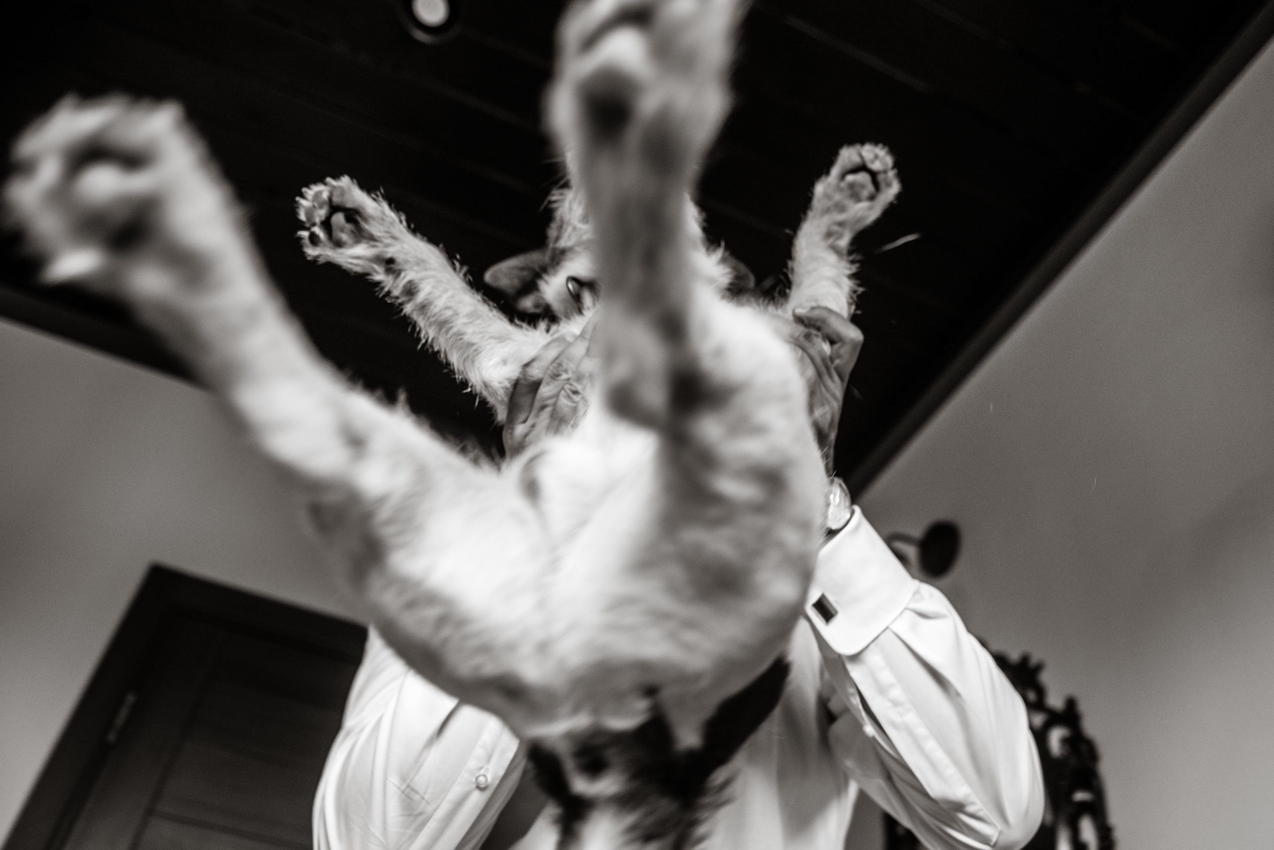 Дима и Даша. Свадебный и семейный фотограф Ксения Ржевская (Митрохина)