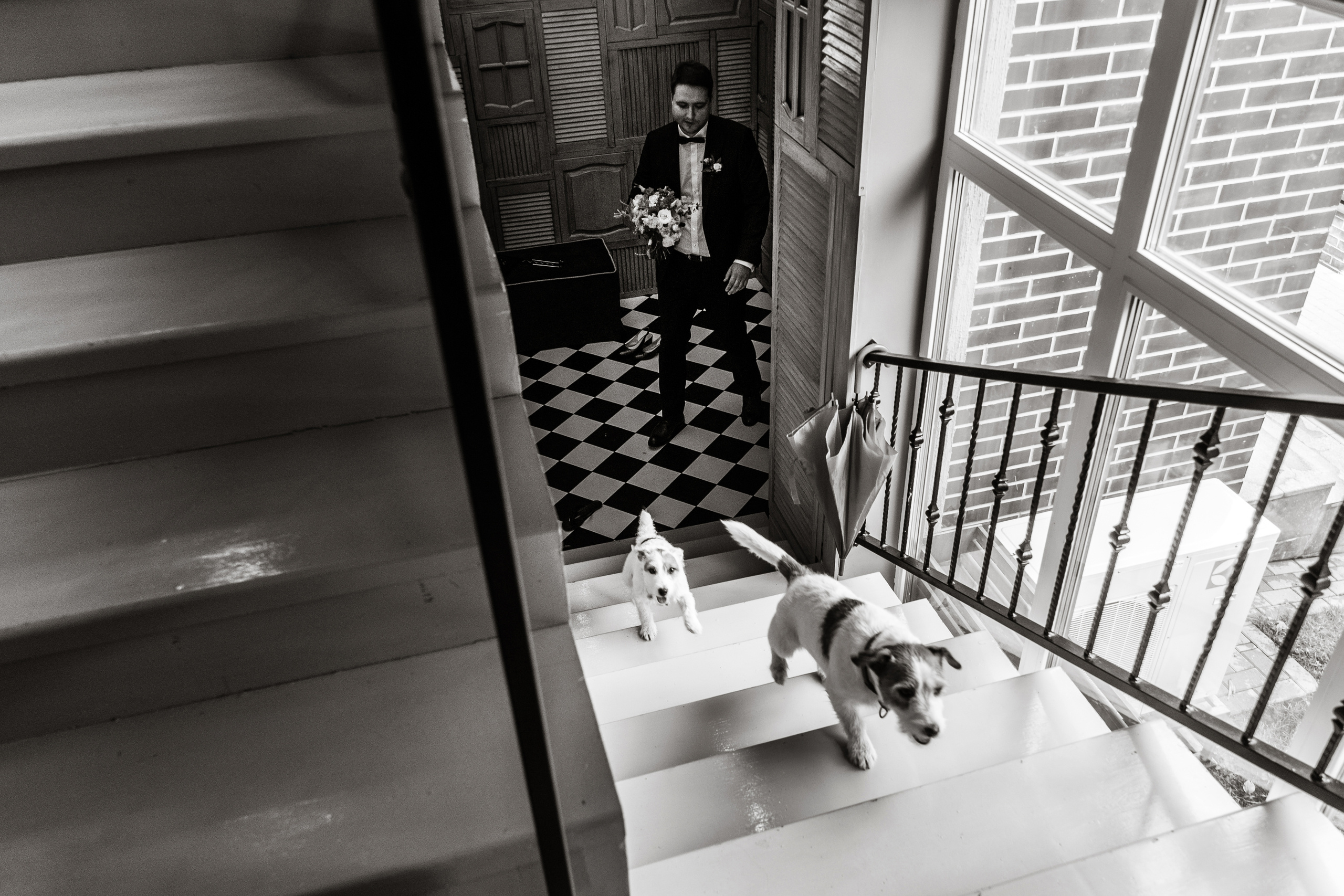 Дима и Даша. Свадебный и семейный фотограф Ксения Ржевская (Митрохина)