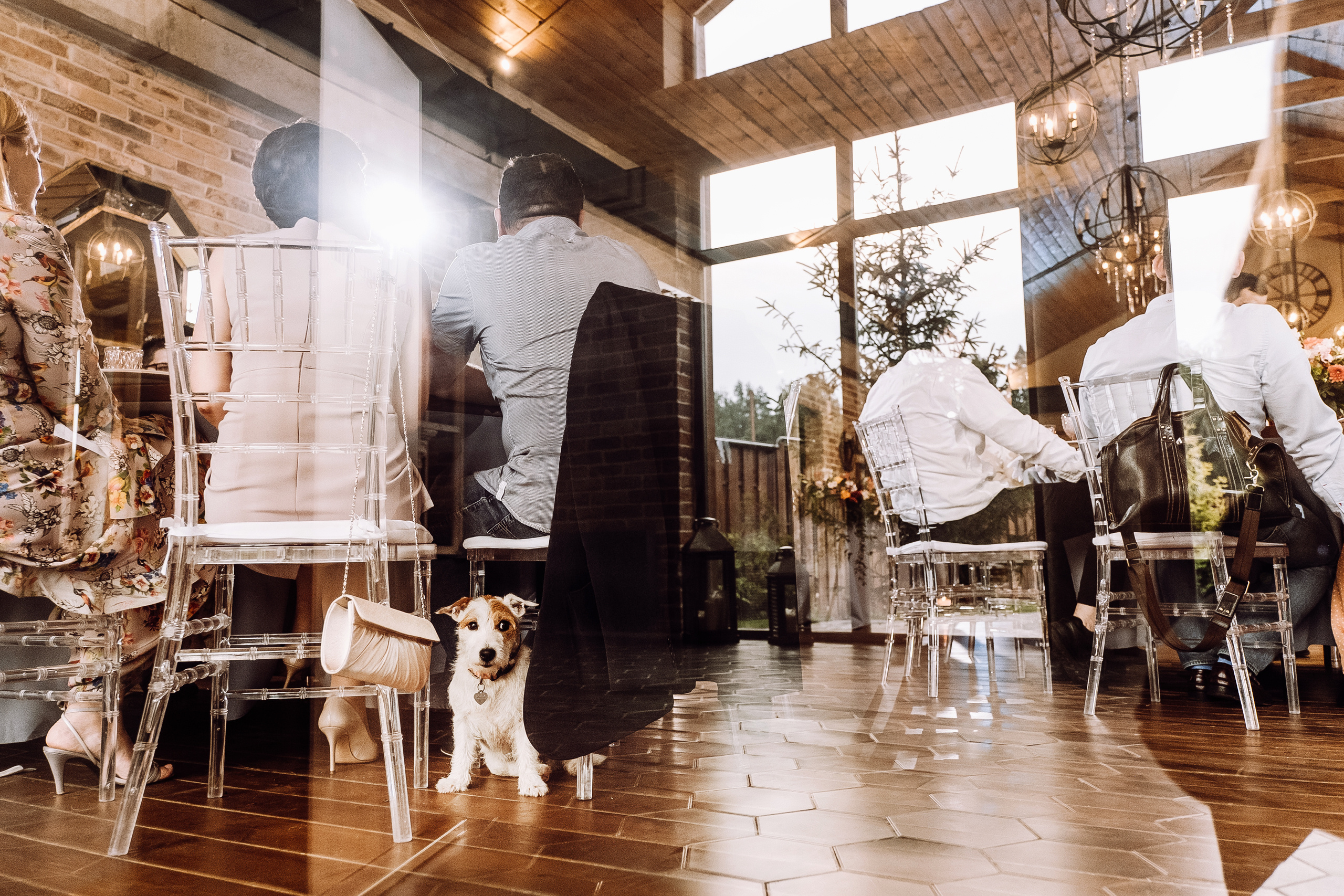 Дима и Даша. Свадебный и семейный фотограф Ксения Ржевская (Митрохина)