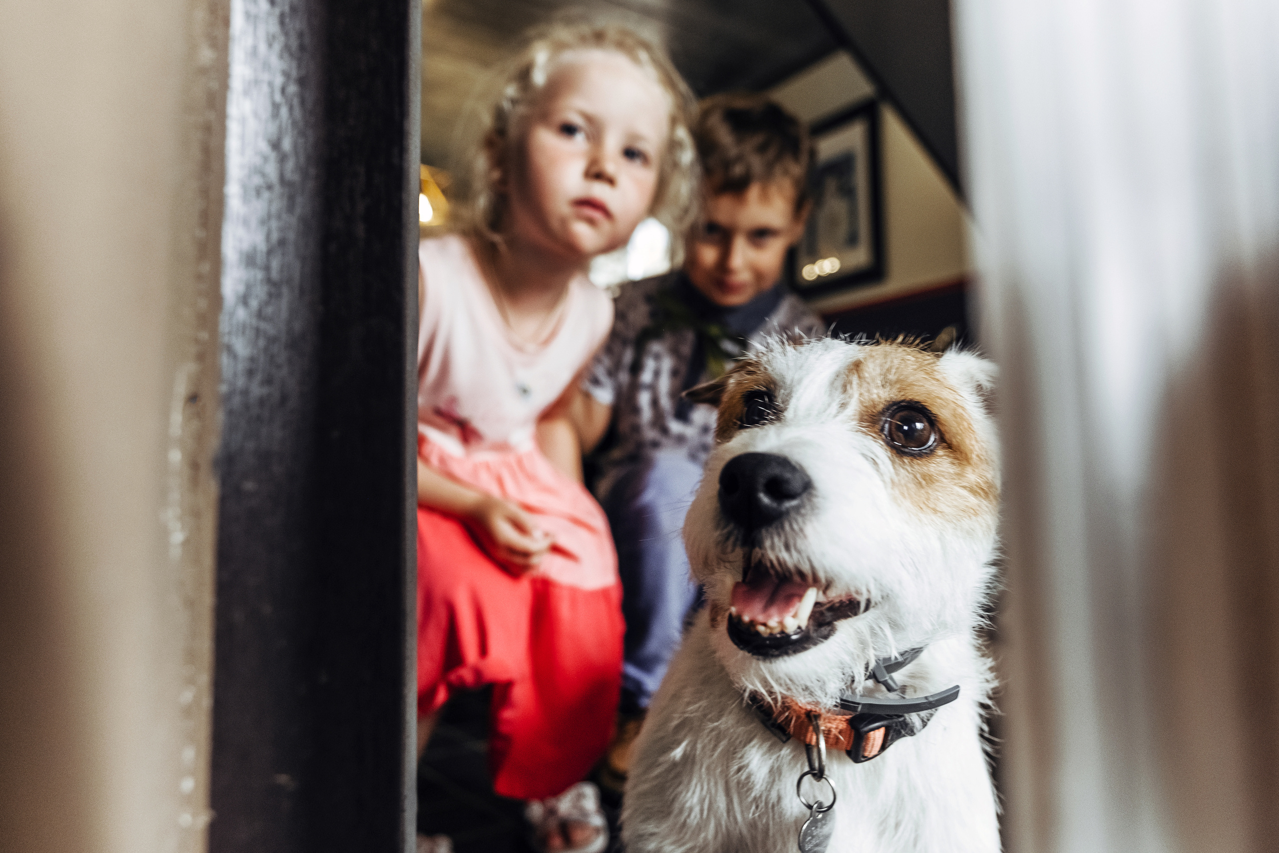 Дима и Даша. Свадебный и семейный фотограф Ксения Ржевская (Митрохина)