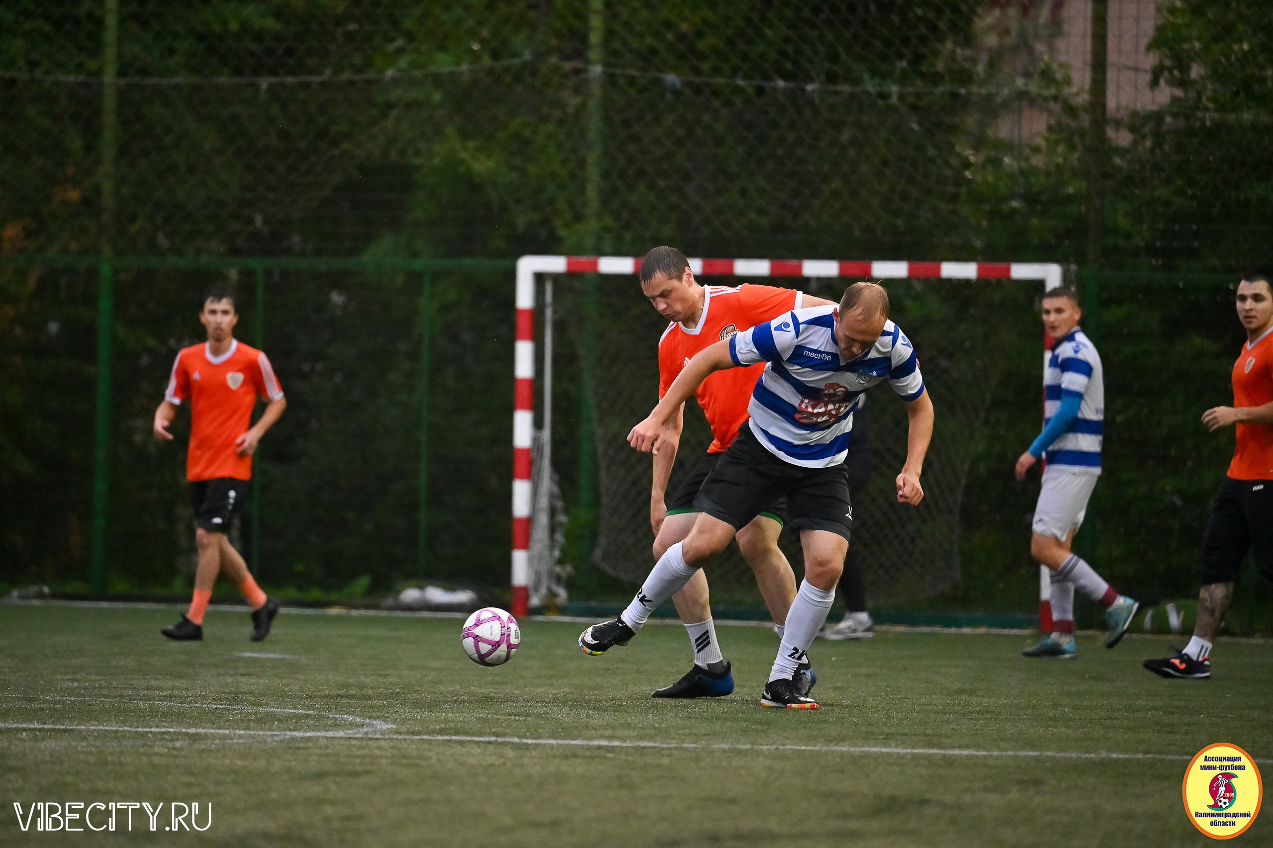 ИГРЫ МИНИ-ФУТБОЛЬНОЙ И КОРПОРАТИВНОЙ ЛИГИ. VIBECITY.RU Вайб Сити Ру Фоторепортажи Фотоотчеты Калининград