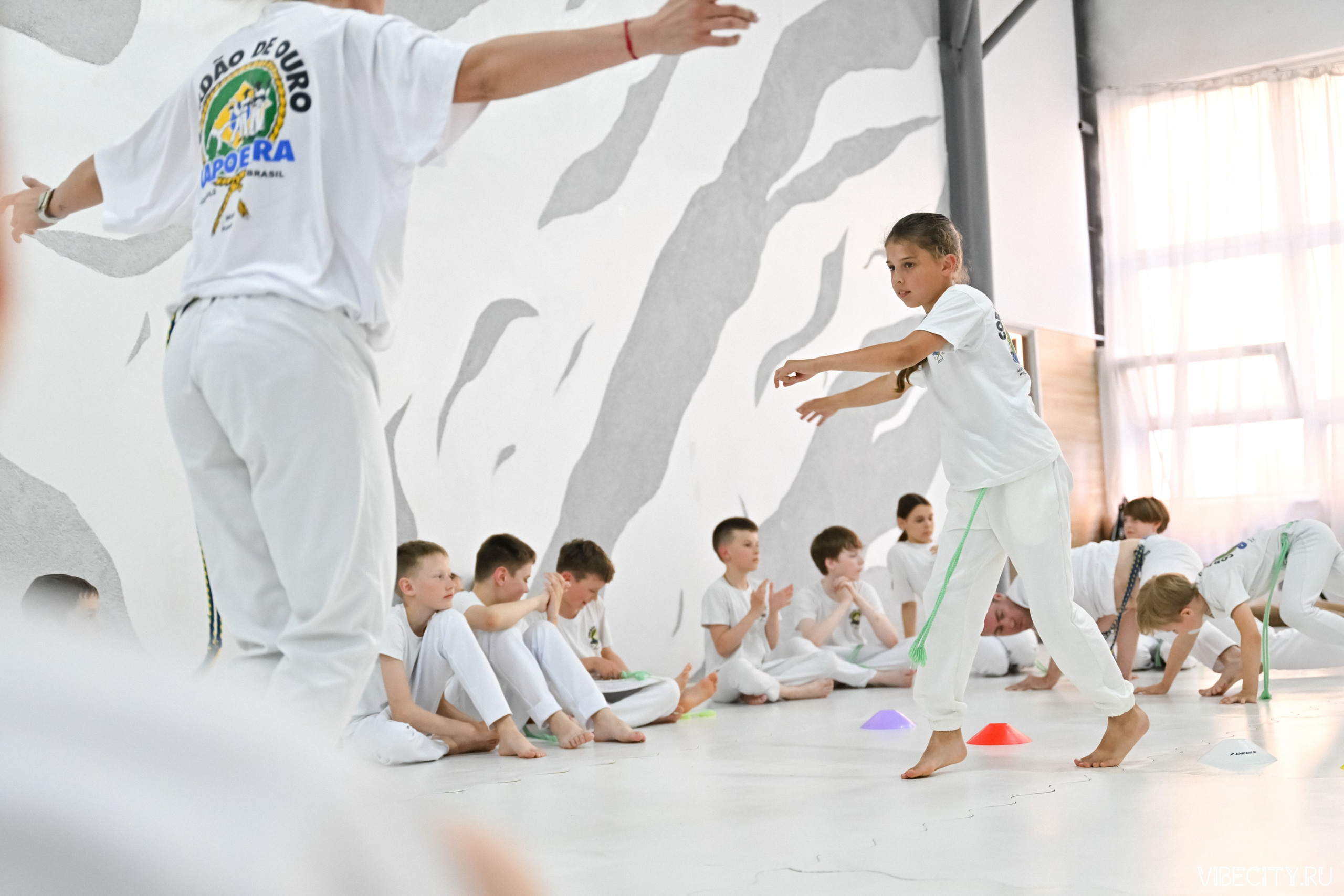 Capoeira: 4-е batizado e Troca de cordao. VIBECITY.RU Вайб Сити Ру Фоторепортажи Фотоотчеты Калининград