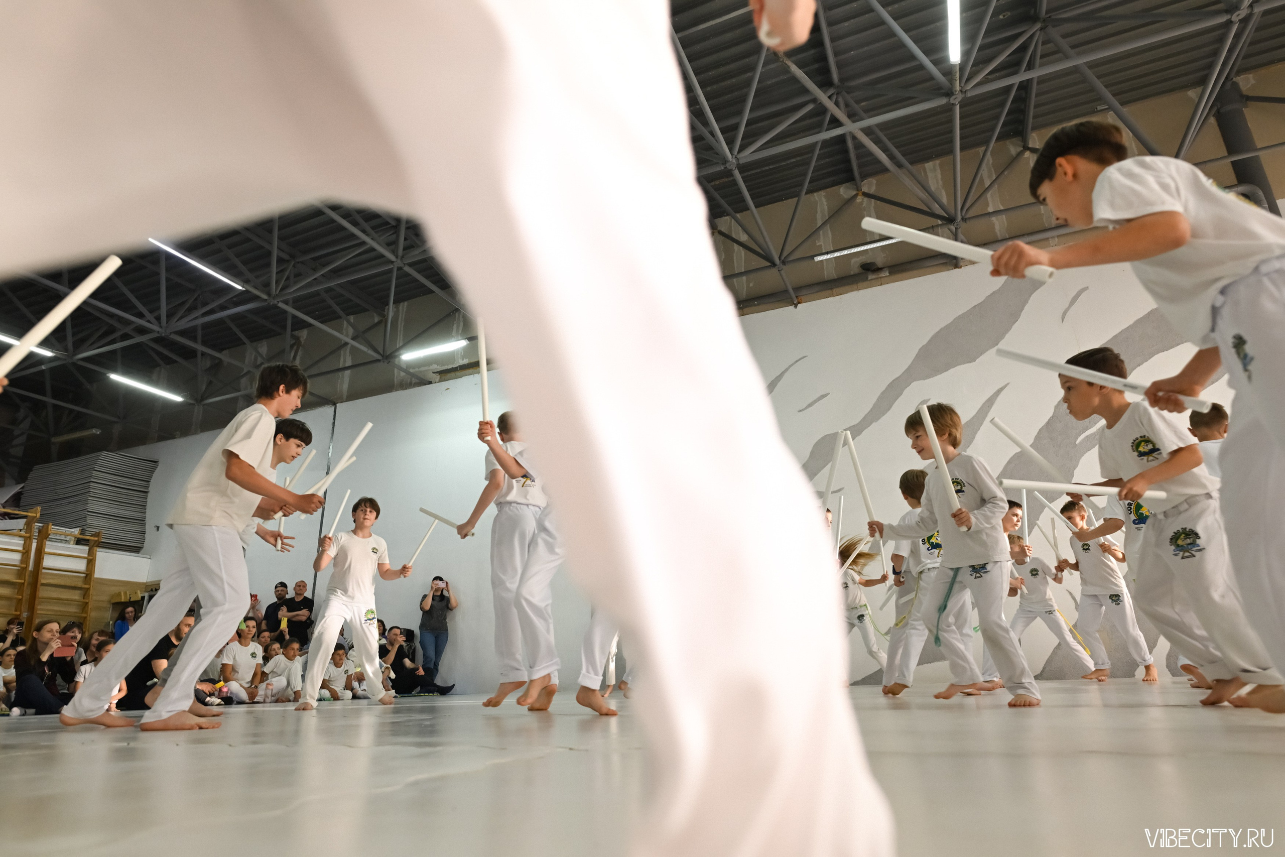 Capoeira: 4-е batizado e Troca de cordao. VIBECITY.RU Вайб Сити Ру Фоторепортажи Фотоотчеты Калининград