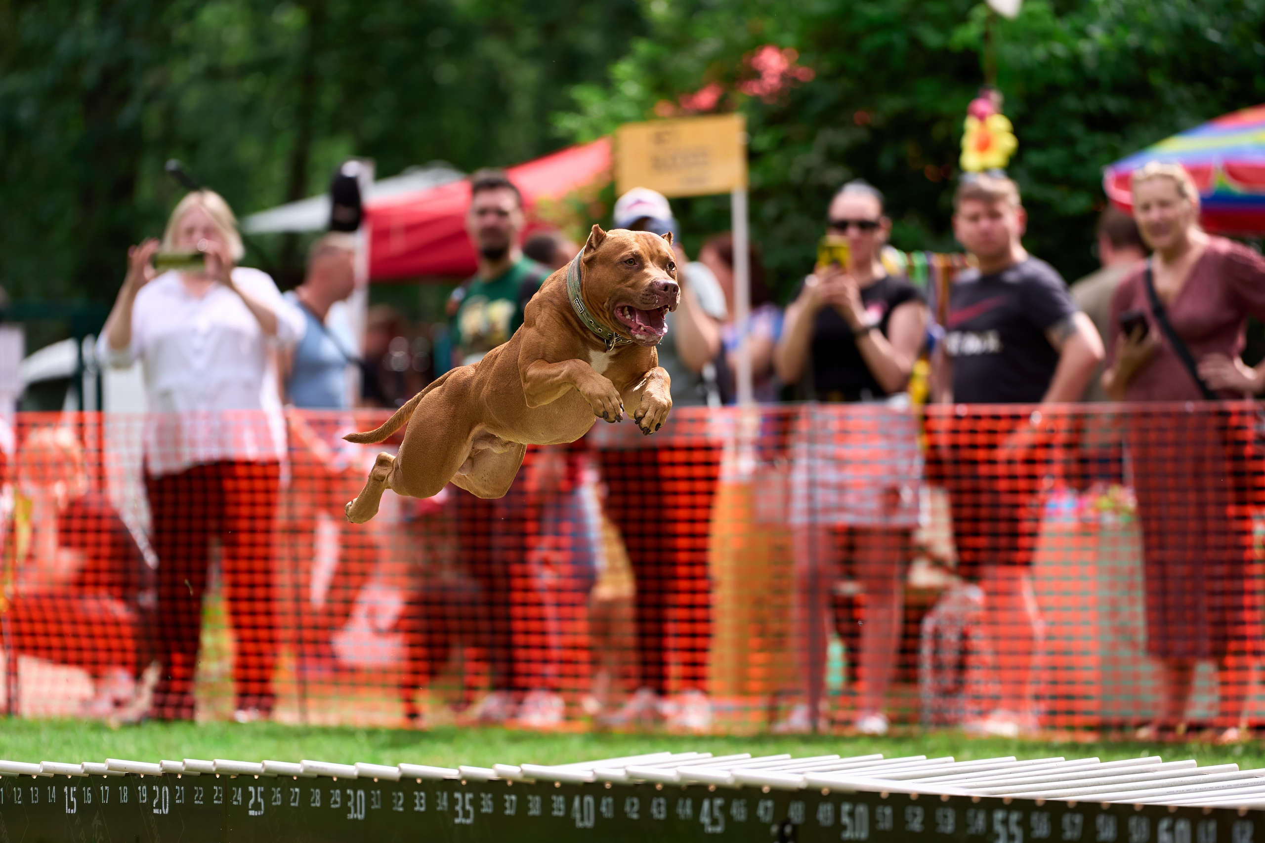 Jump'n'Gym JUMP! — 2024. Фотограф-анималист Михаил Манухин