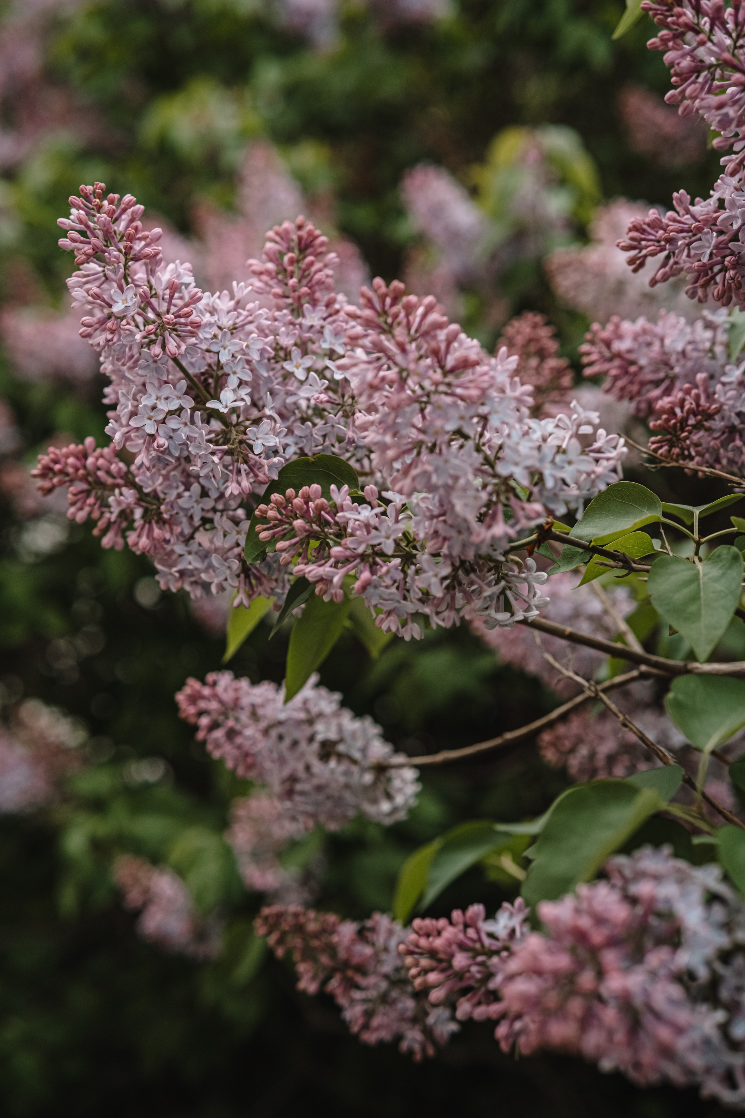 Люди. Фотограф Олеся Кавлакан